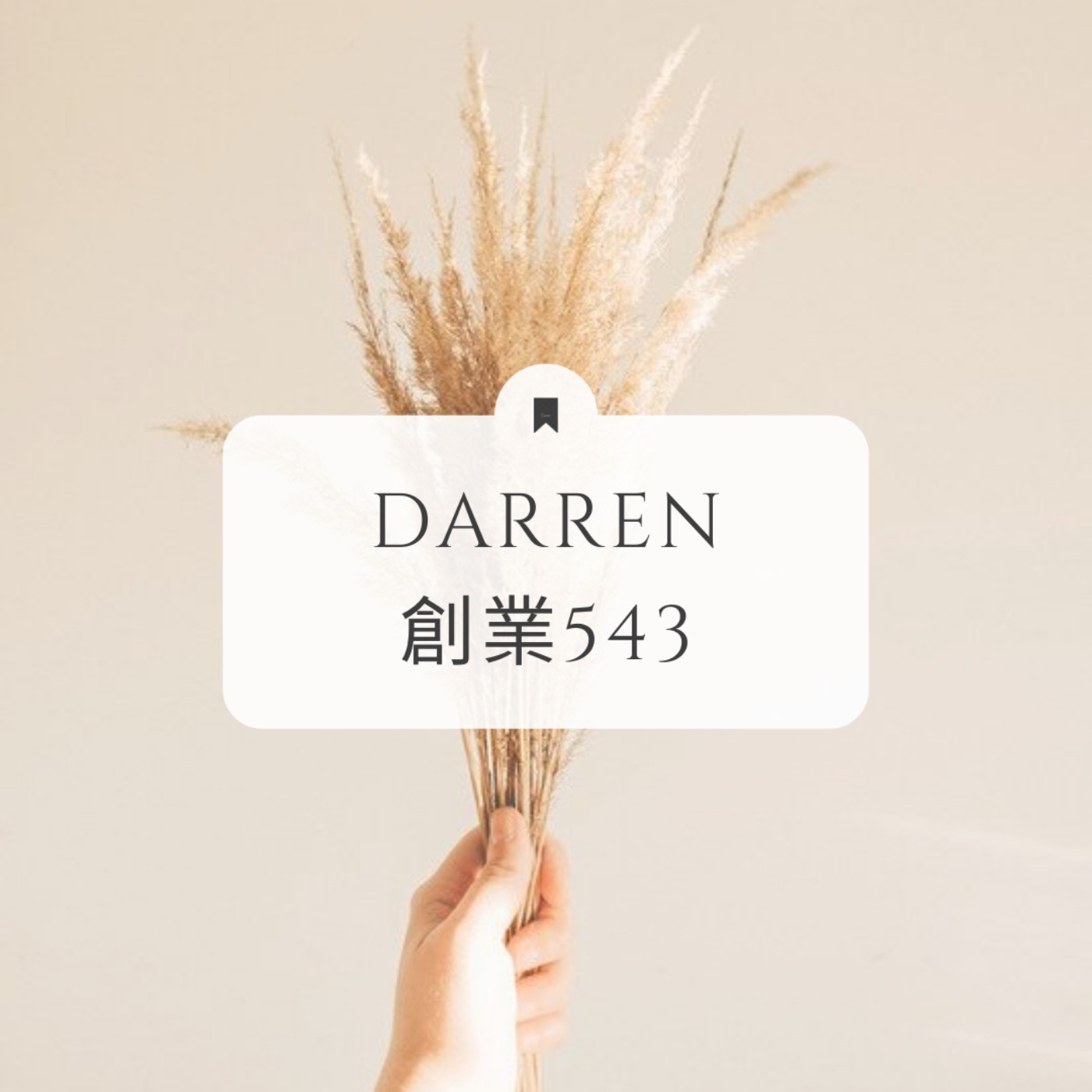 Darren創業543