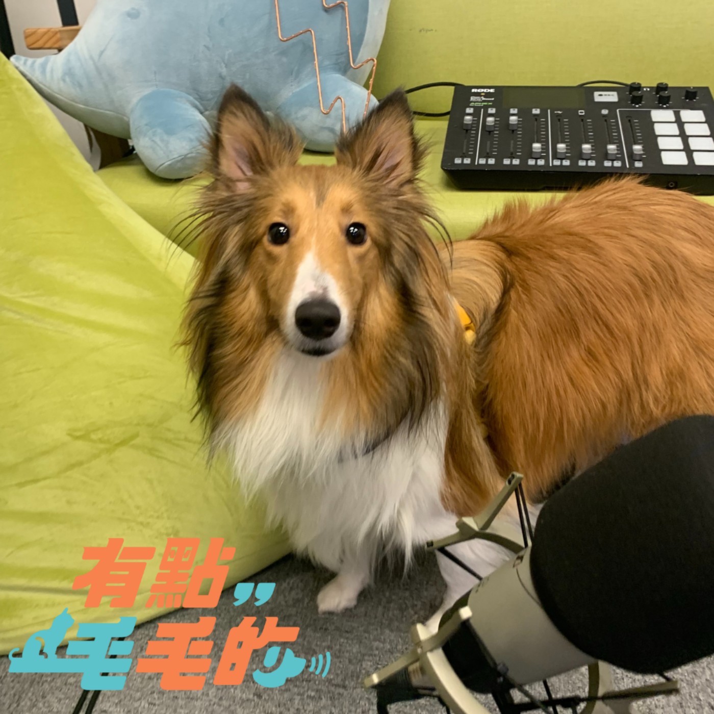 有點毛毛的