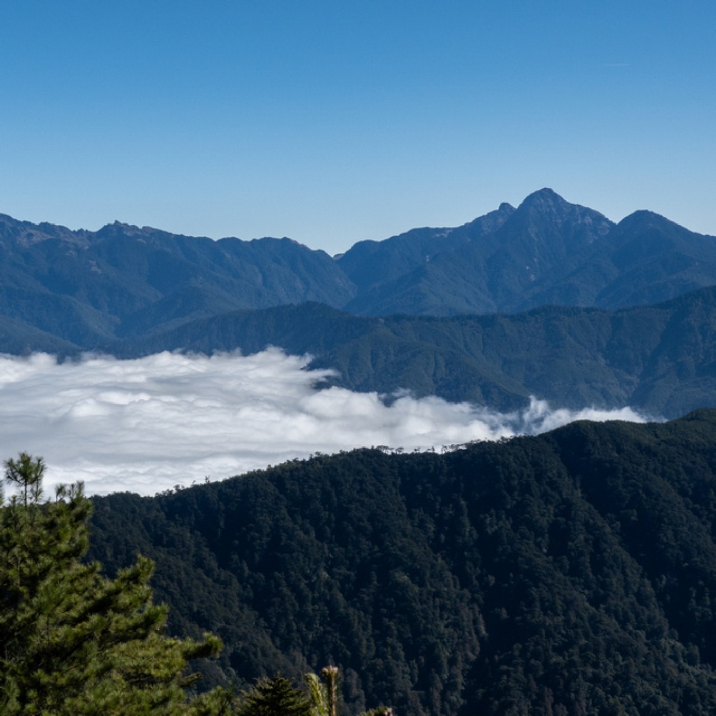 {楚希聊心室S02E02} Why Truthy? 「真實的生活著」是什麼? {楚希聊心室S02E02} Why Truthy? 「真實的生活著」是什麼?