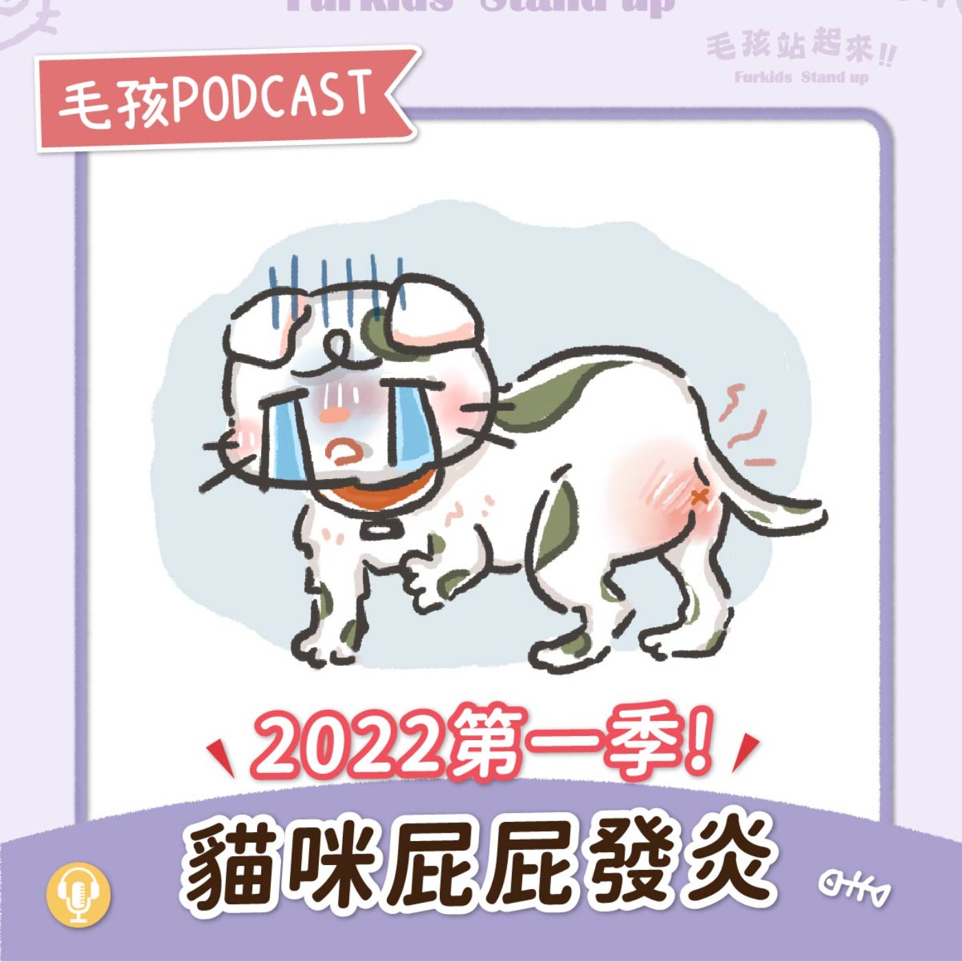 2022S1EP01｜《貓咪屁屁發炎》肛門腺危機‼