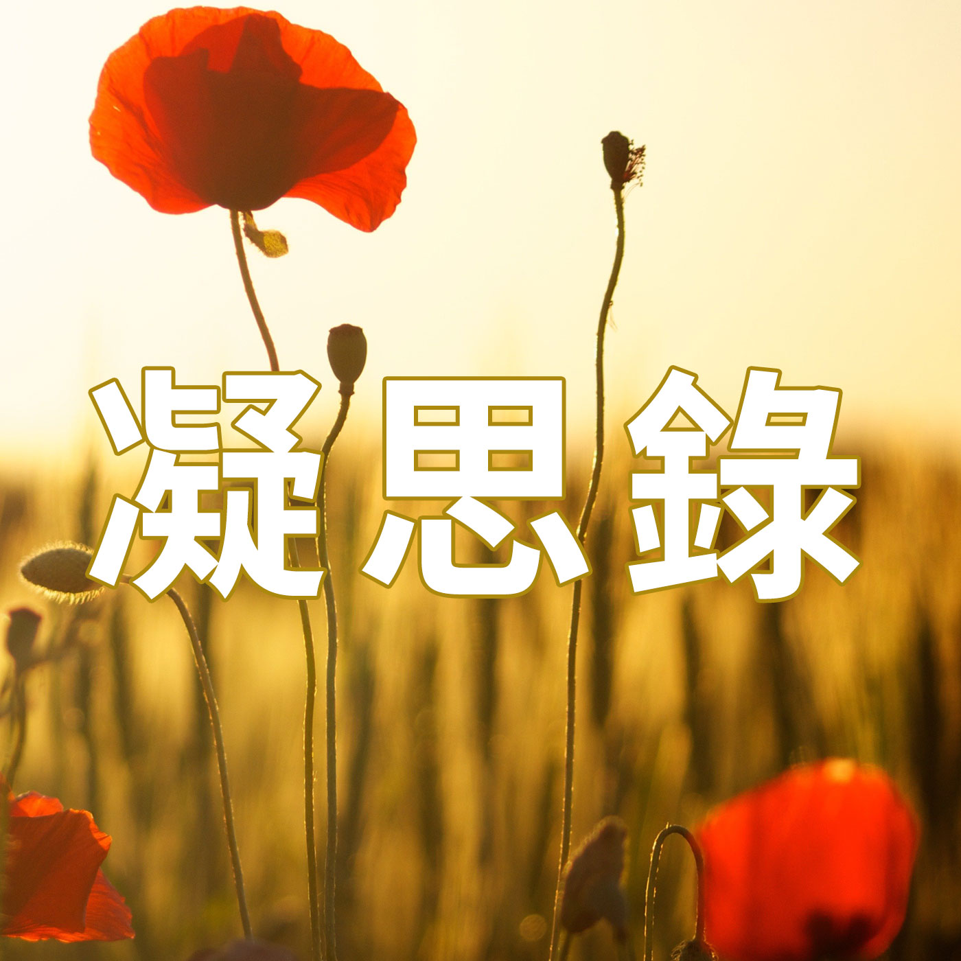 《凝思錄》EP.68 直面人生中的失能
