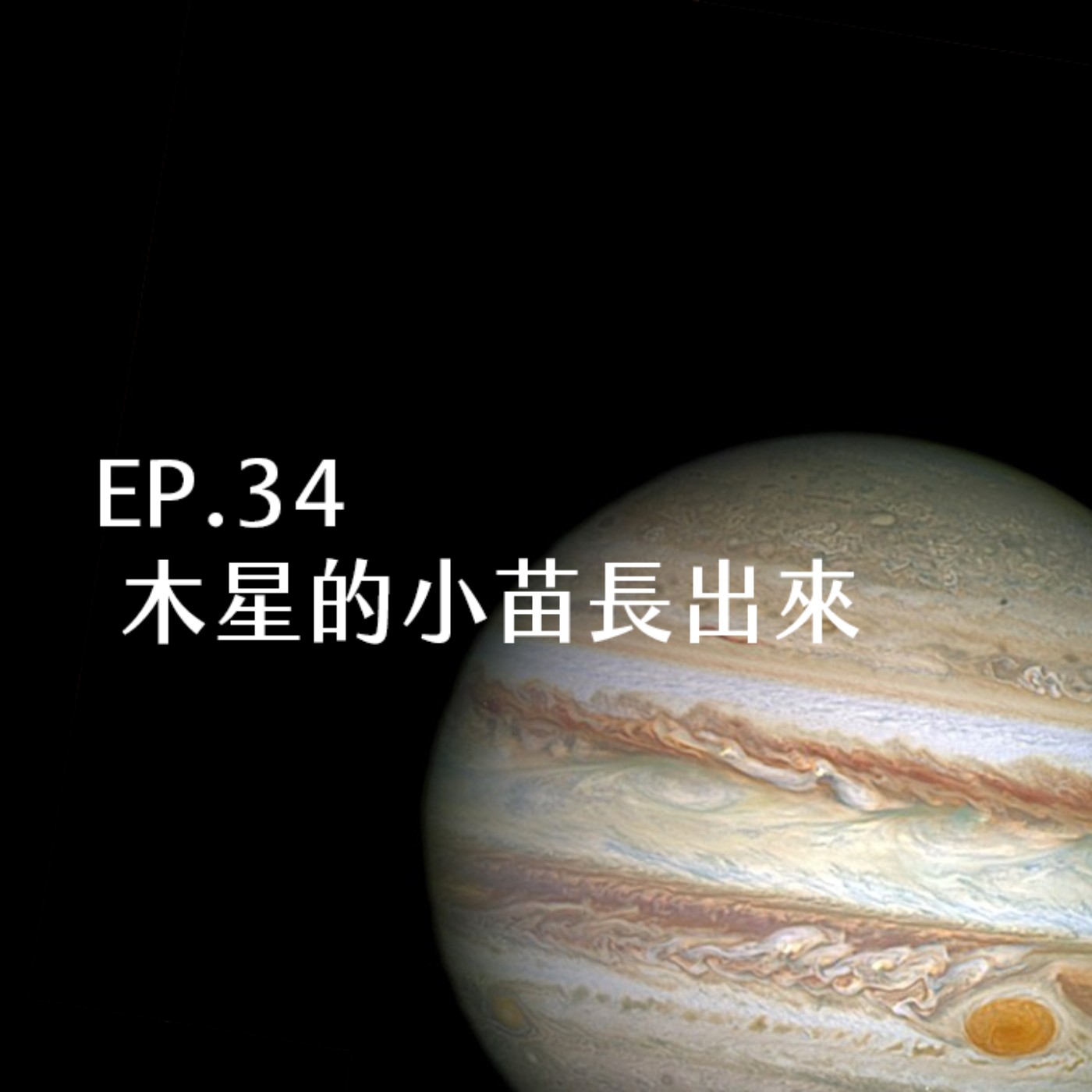 EP.34 木星的小苗長出來