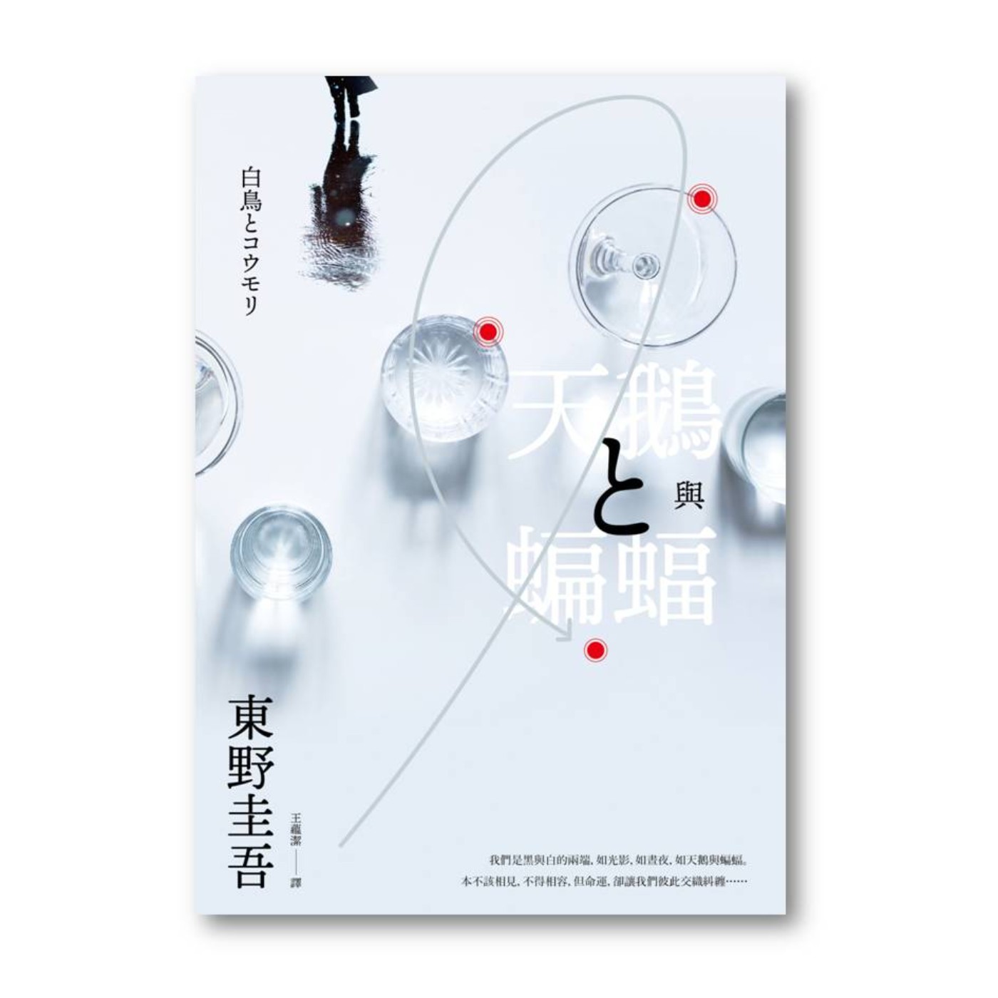 【說一本書給你聽】第16集 做書的人 ——《天鵝與蝙蝠》