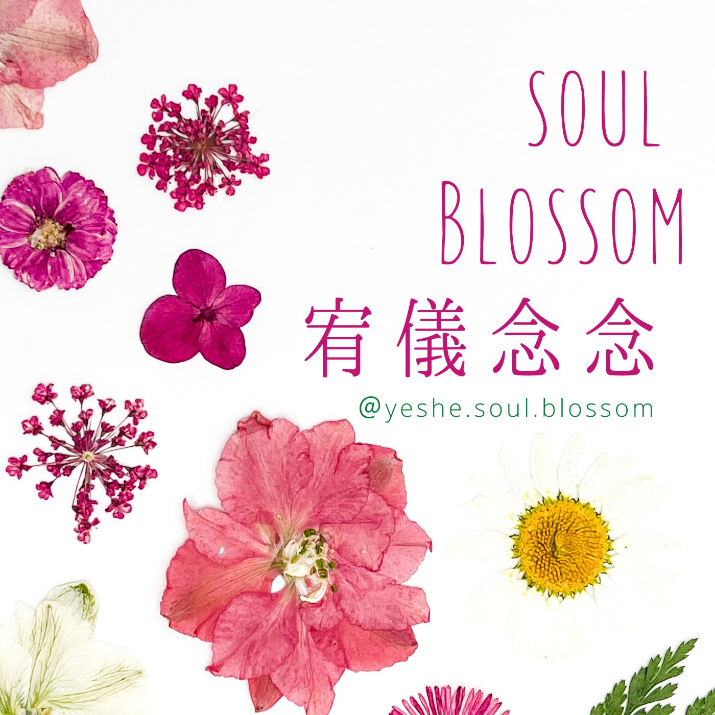 宥儀念念 SOUL BLOSSOM