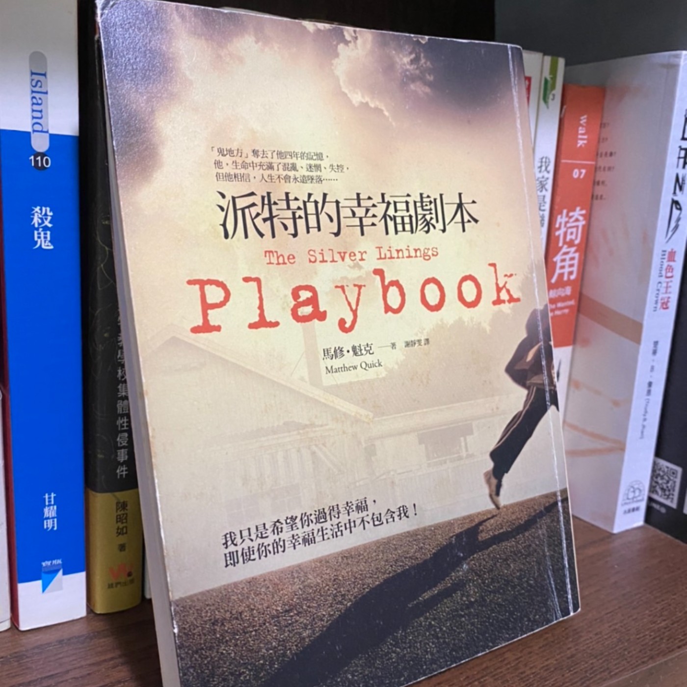戲院_03_派特的幸福劇本:烏雲銀鑲邊