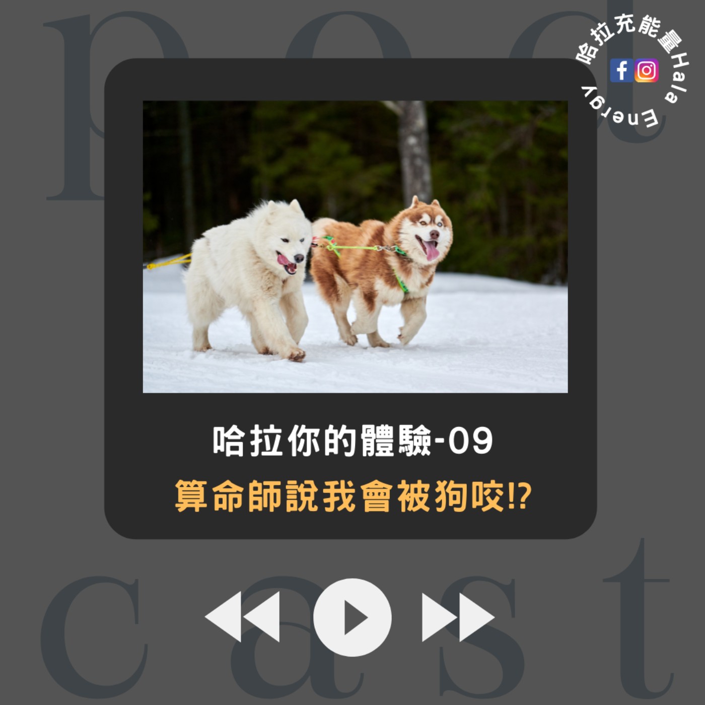 哈拉你的體驗09-算命師說我會被狗咬!? episode artwork