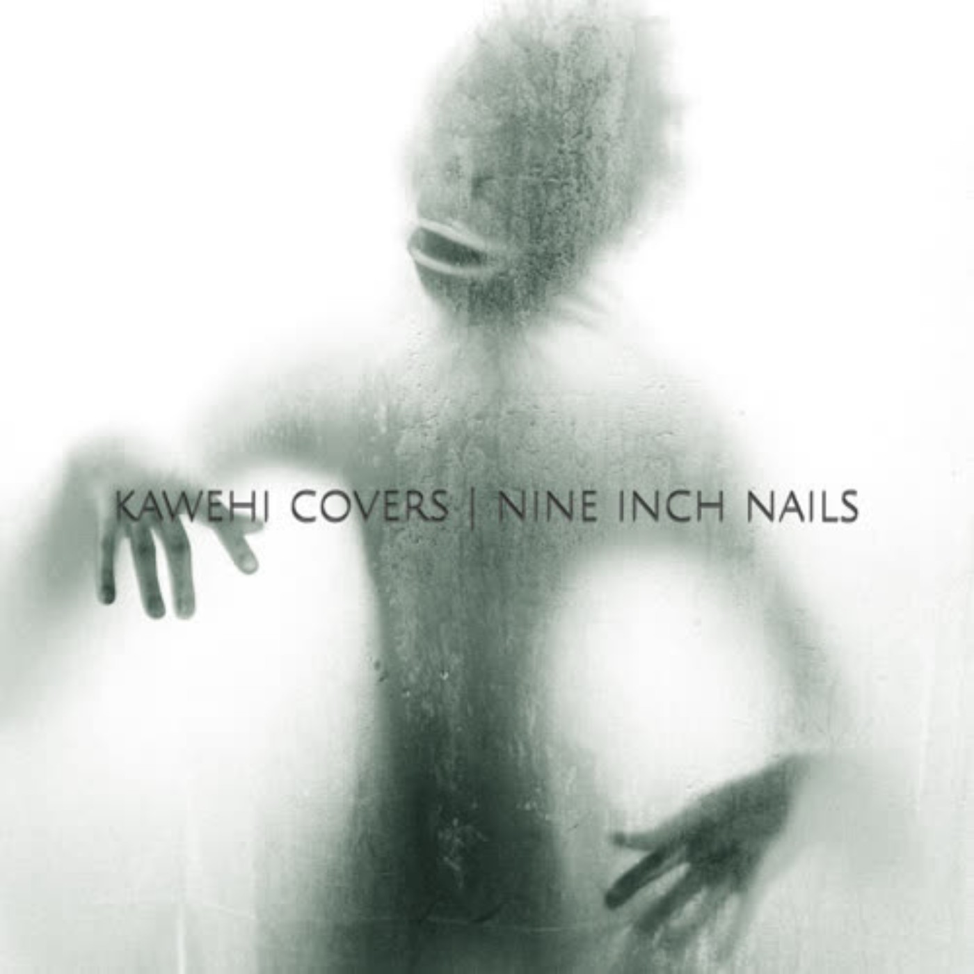 [mashup] Nine Inch Nails - Terrible Lie X Kawehi - Troll
