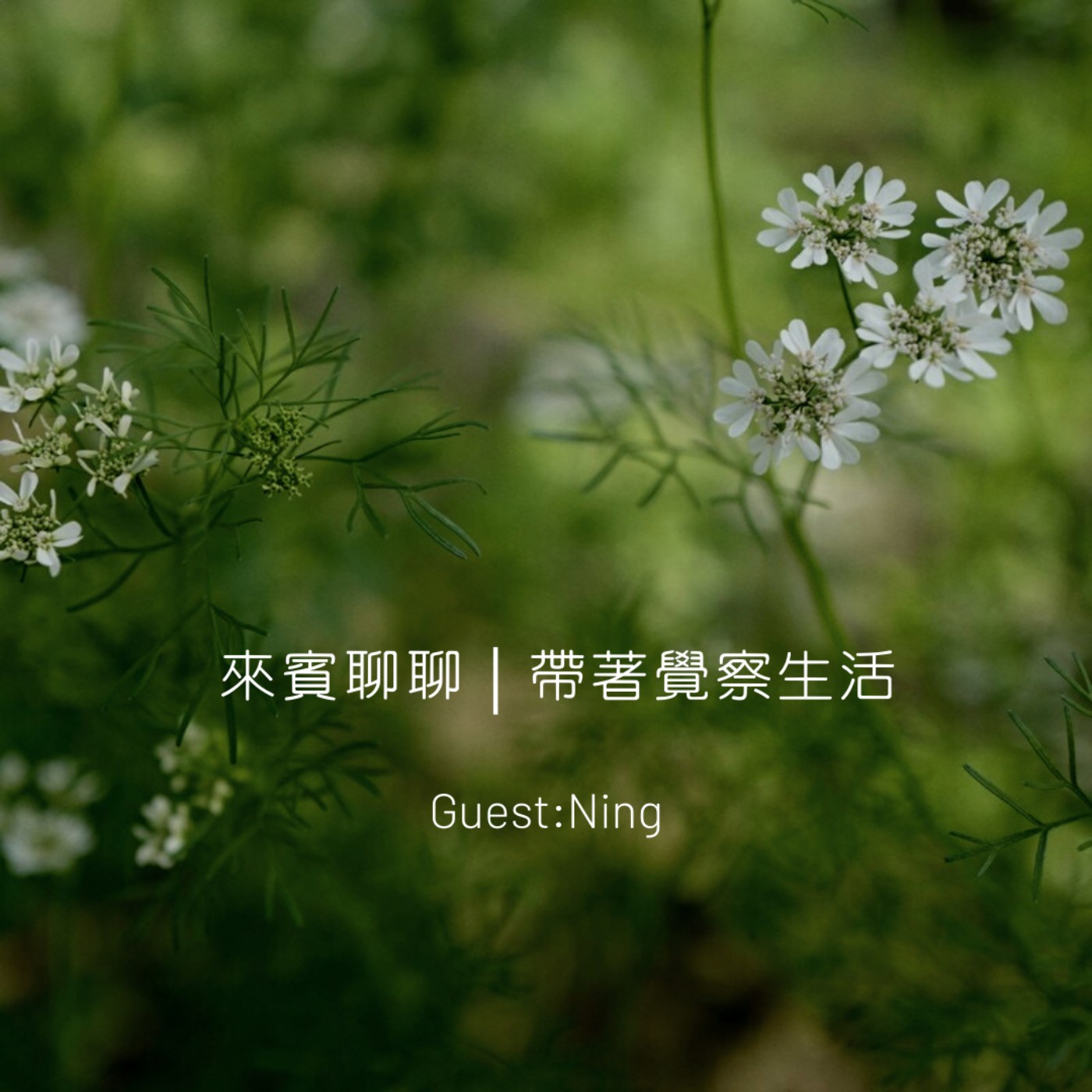 來賓聊聊｜帶著覺察生活 episode artwork