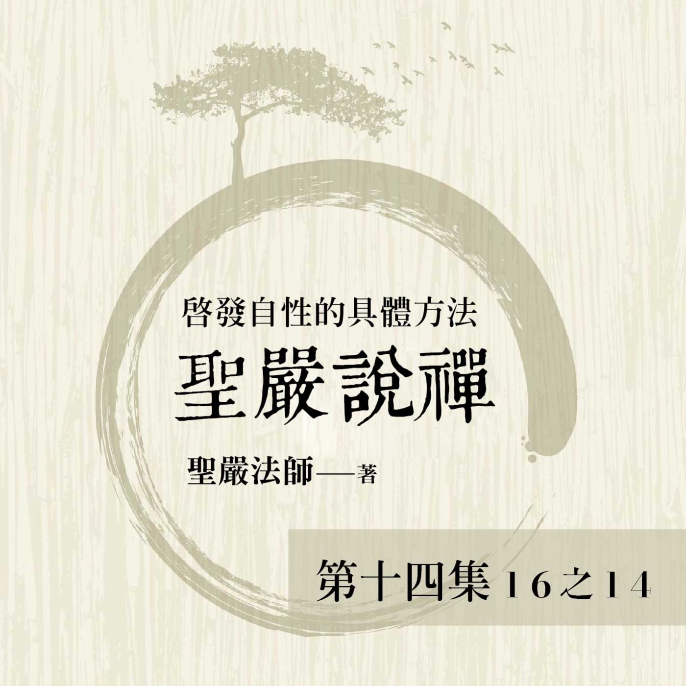 《聖嚴說禪》第十四集 (16之14)