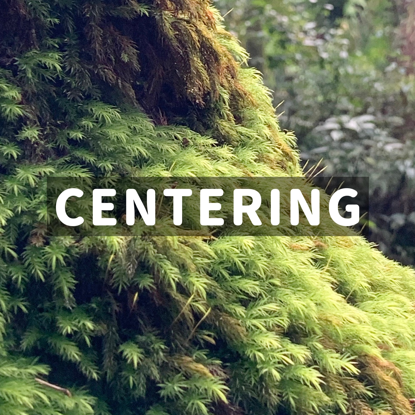 Centering / 回到當下的呼吸練習 ✨