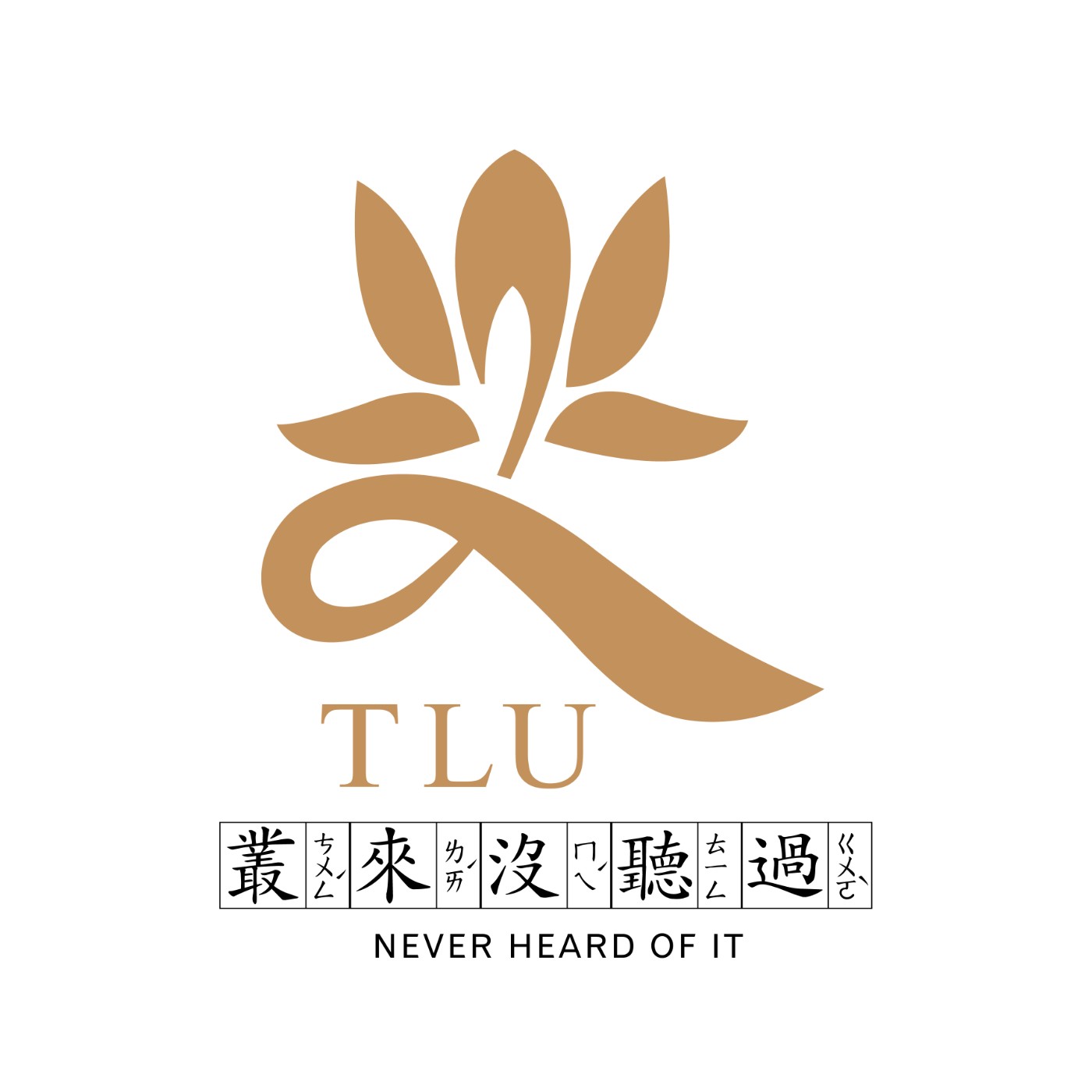 叢來沒聽過