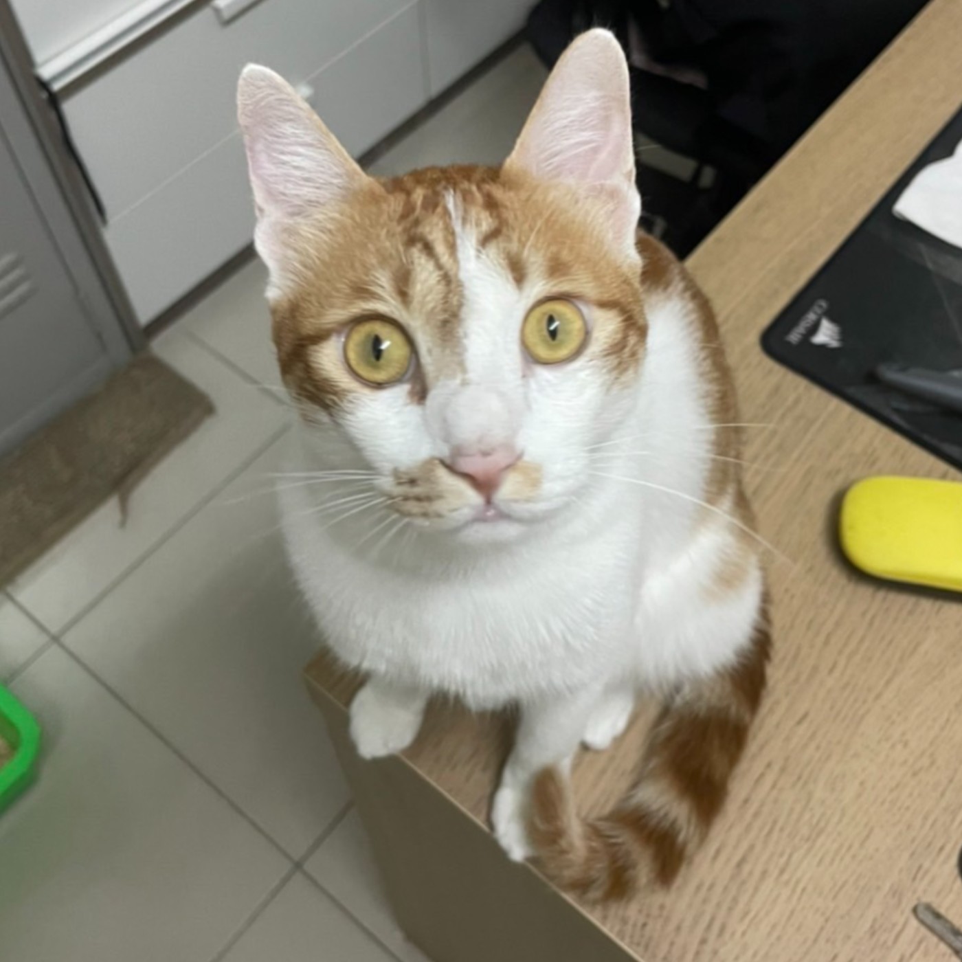 EP.02 Somebody To Love EP.02 Somebody To Love