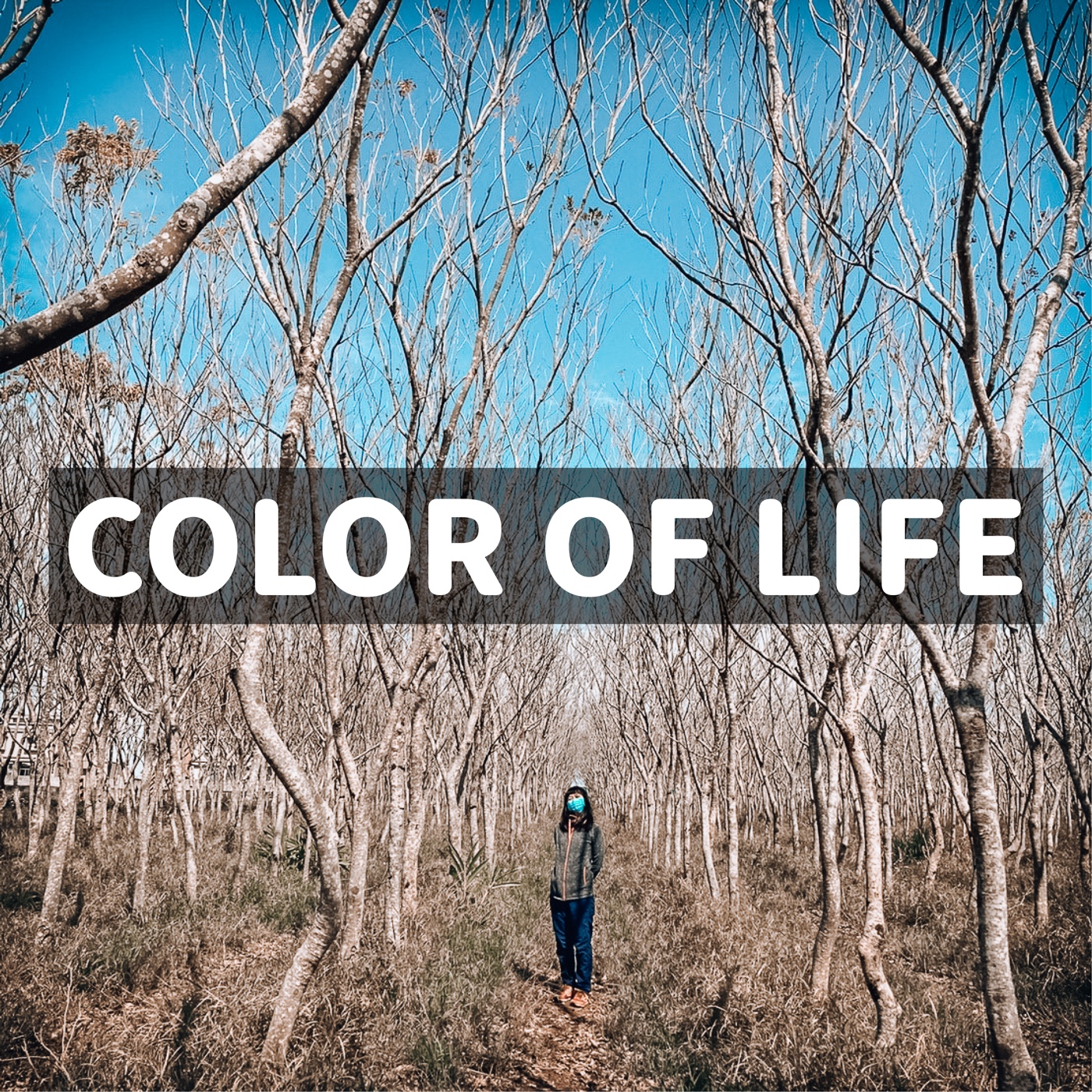 Colors of Life / 生活,是什麼顏色?✨