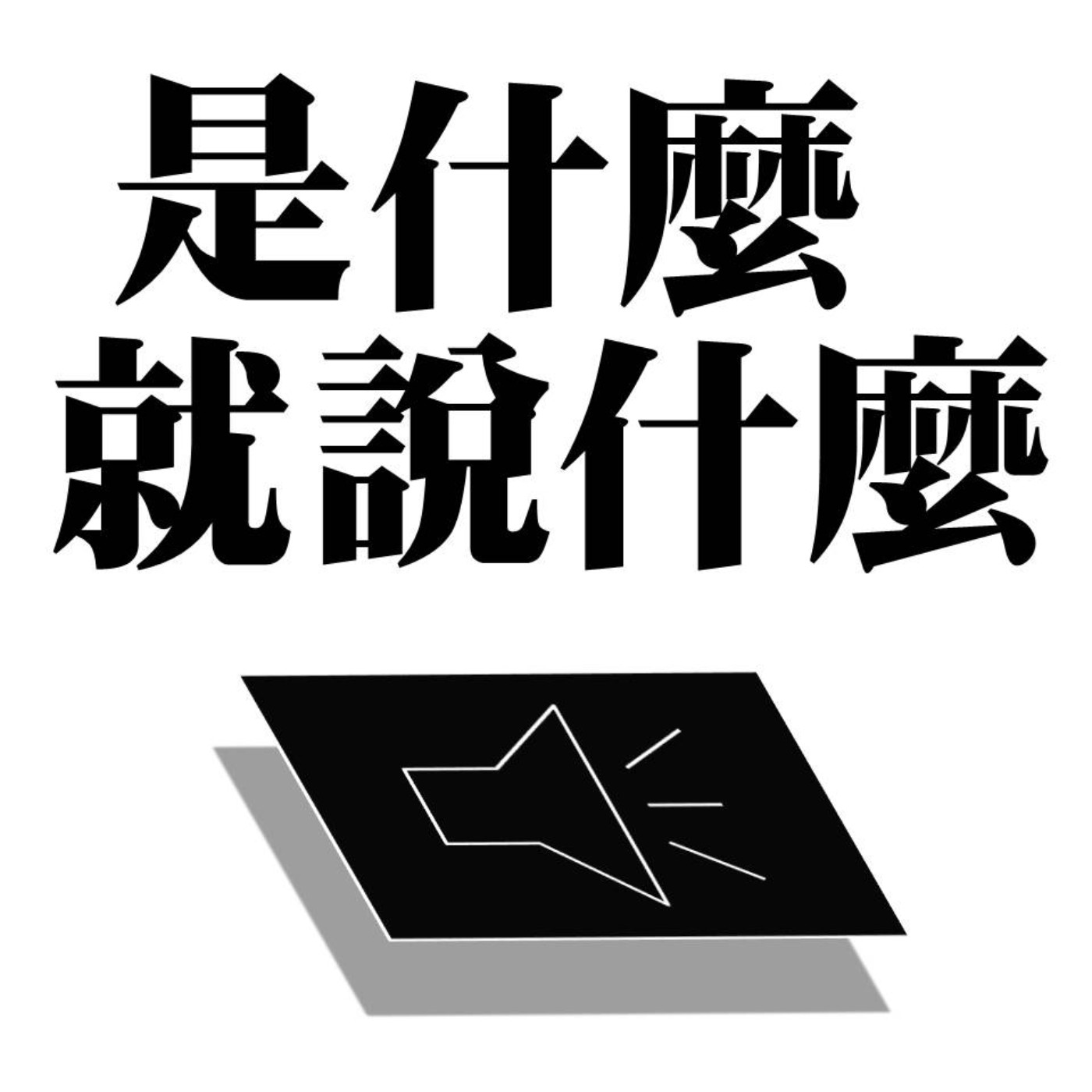 是什麼就說什麼