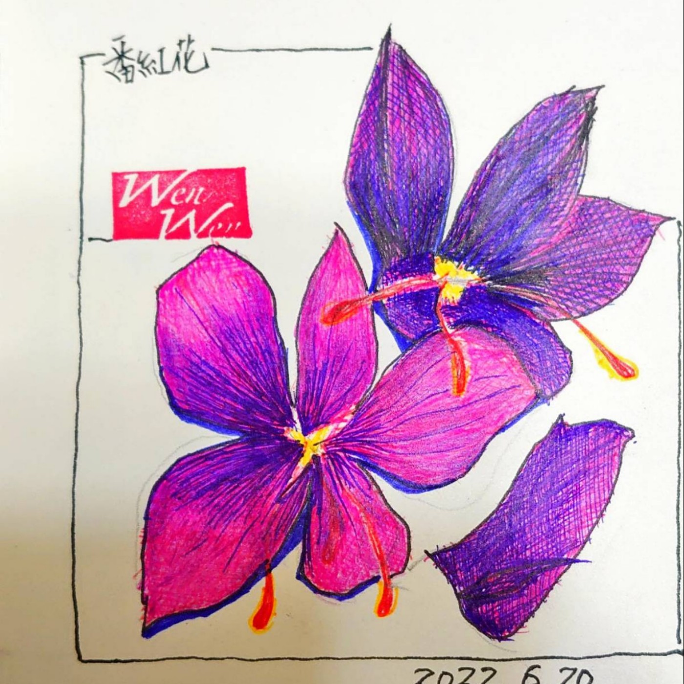 ep09 o伊朗 番紅花  episode artwork