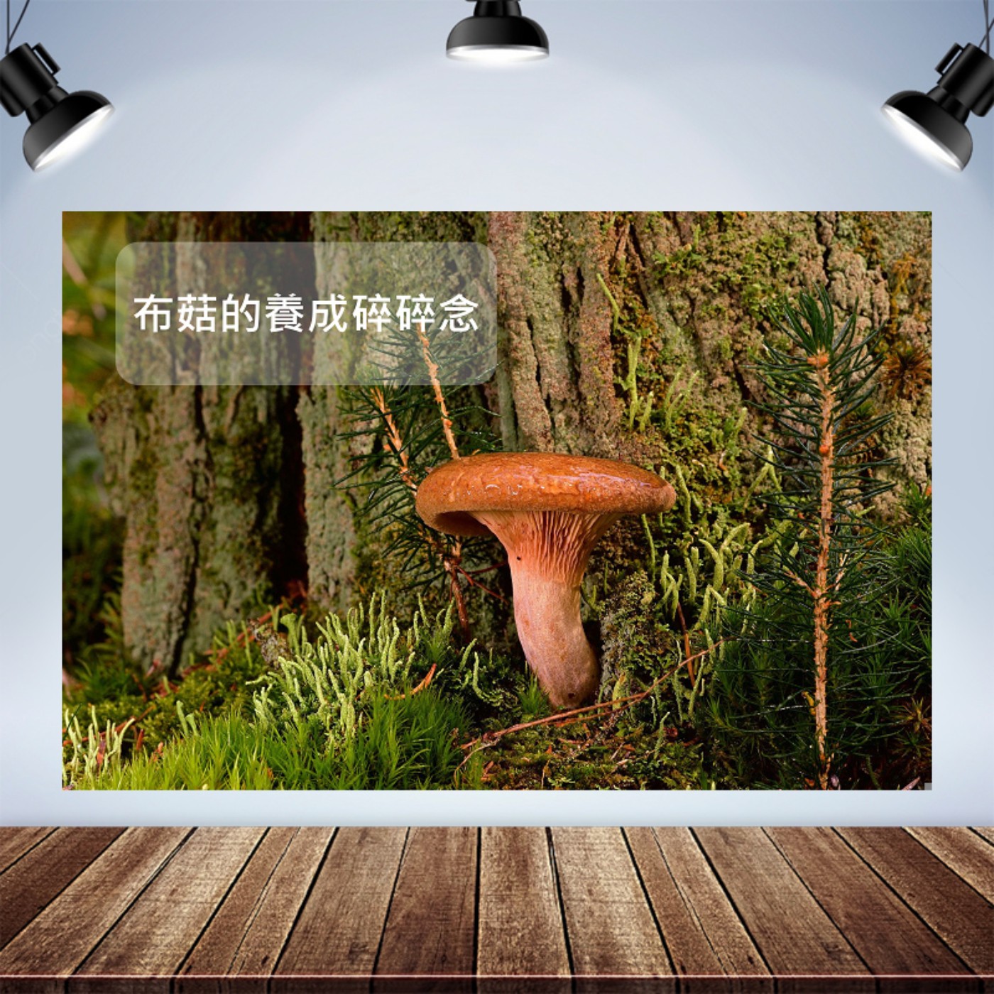 宅宅下班中