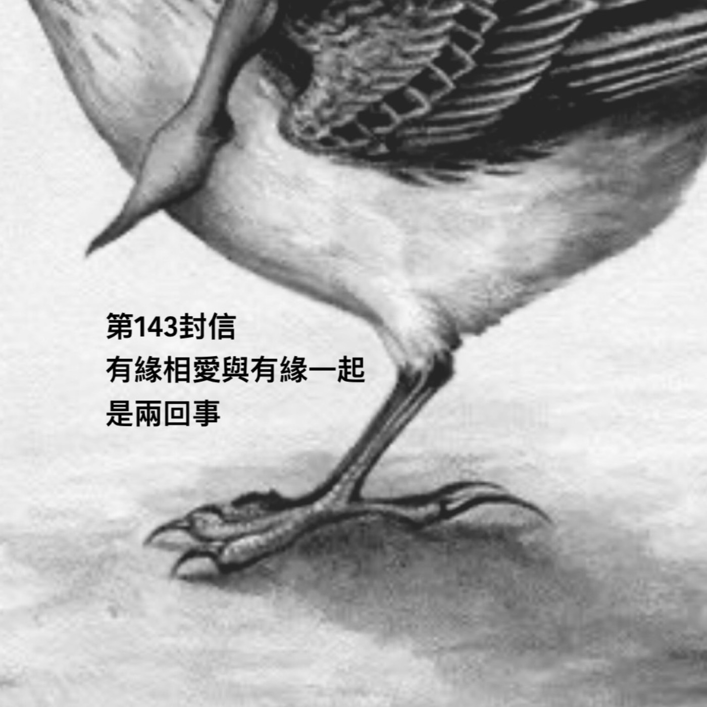 EP143【許常德】有緣相愛與有緣一起是兩回事