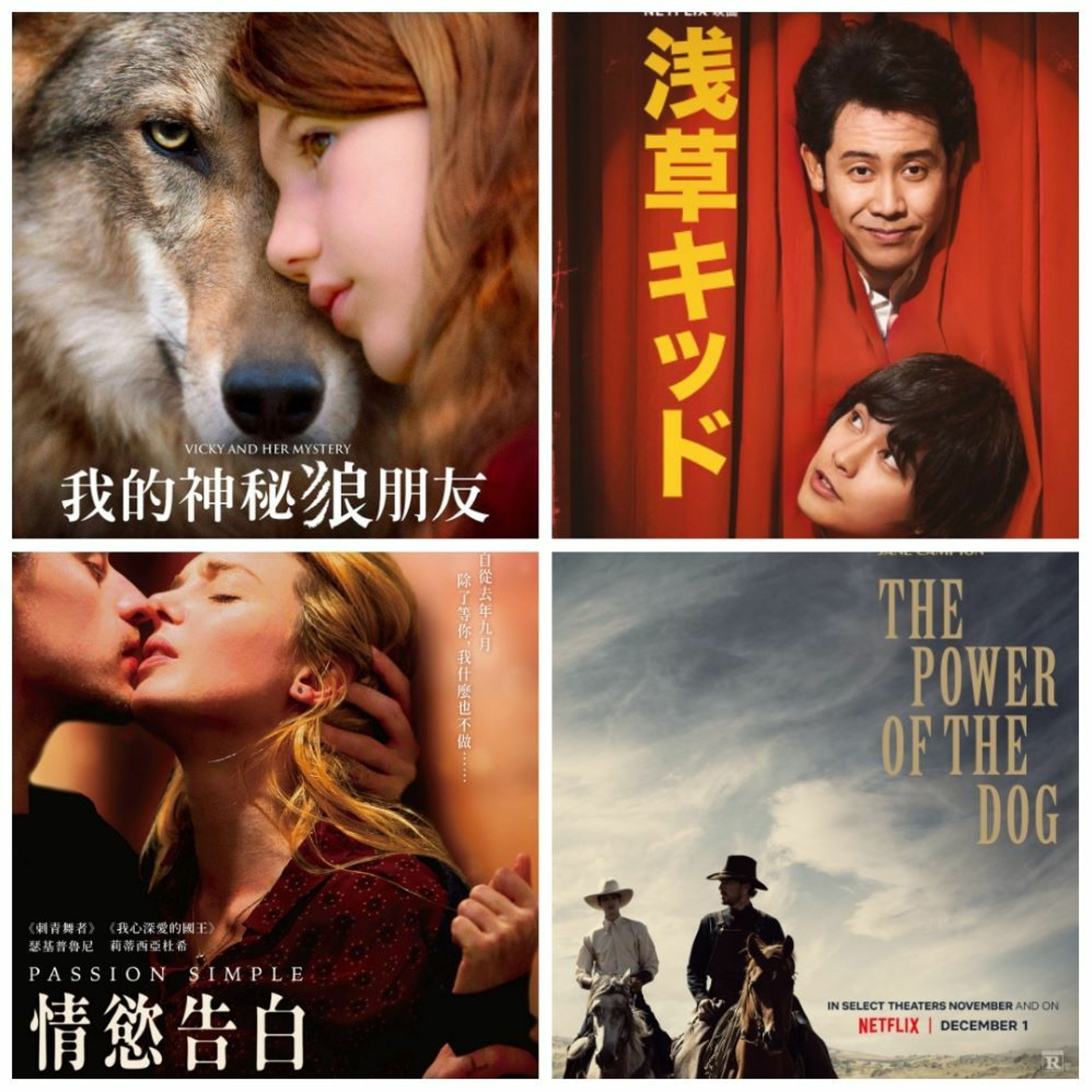 cover of episode 電一下就上影│ 犬山記 │ 我的神秘狼朋友 │ 情慾告白 │ 淺草小子 │ 北野武