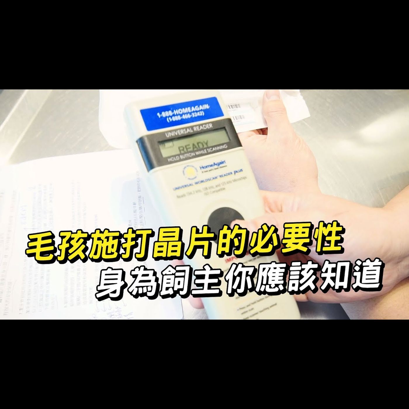 【獸醫這樣說🧐】毛孩施打晶片的必要性│愛寶寵新知 AIPAWs X 保健知識家