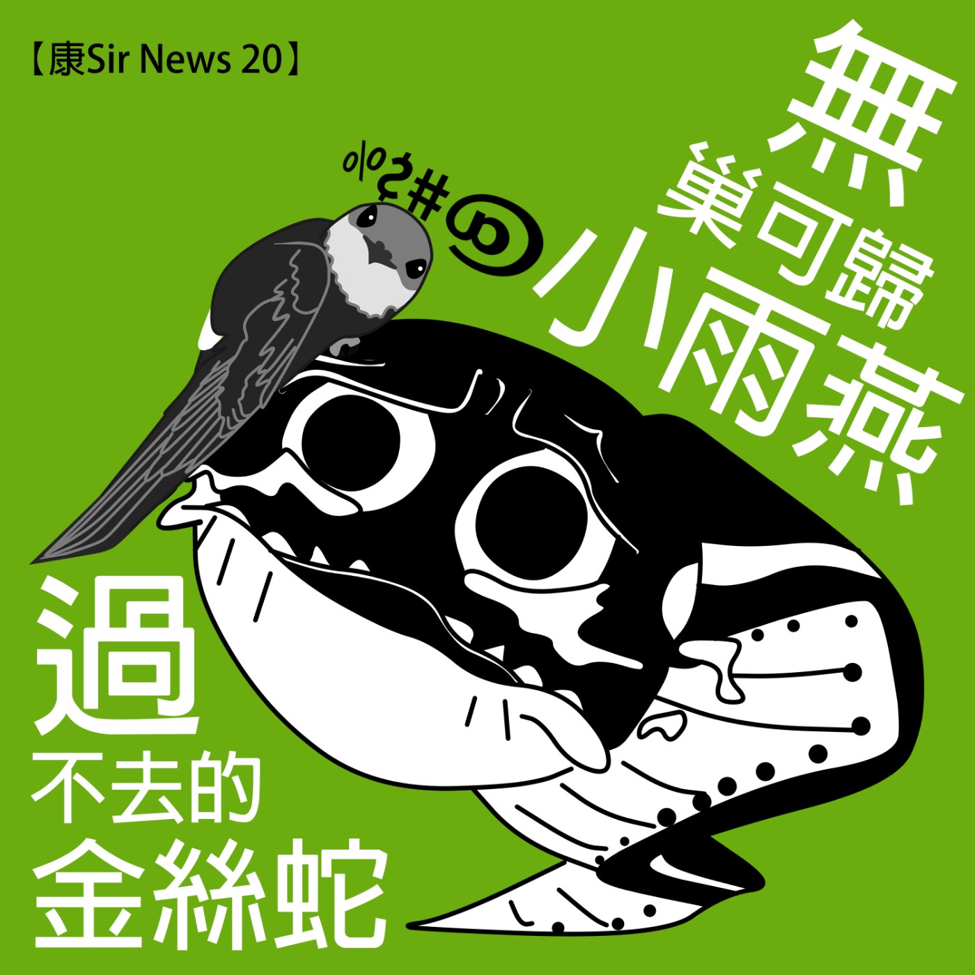 【康Sir News 20】無巢可歸小雨燕 × 過不去的金絲蛇 episode artwork