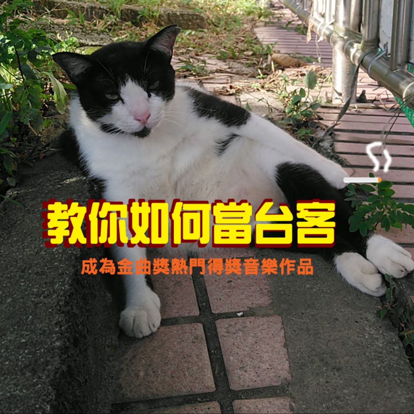 黏tt獨立音樂筆記《第十四集：教你如何當台客》