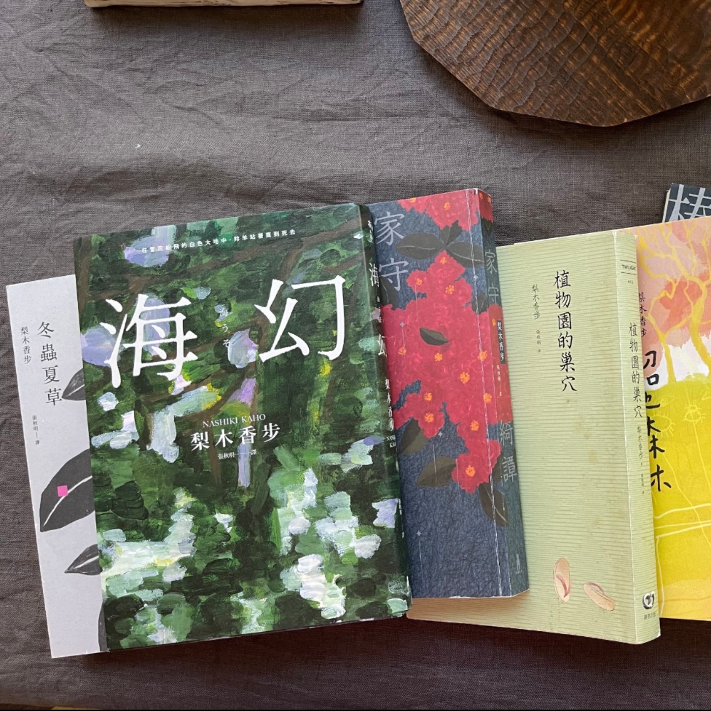 EP52 剪不斷理還亂的柑橘們/日本小說家梨木香步的《海幻》 episode artwork