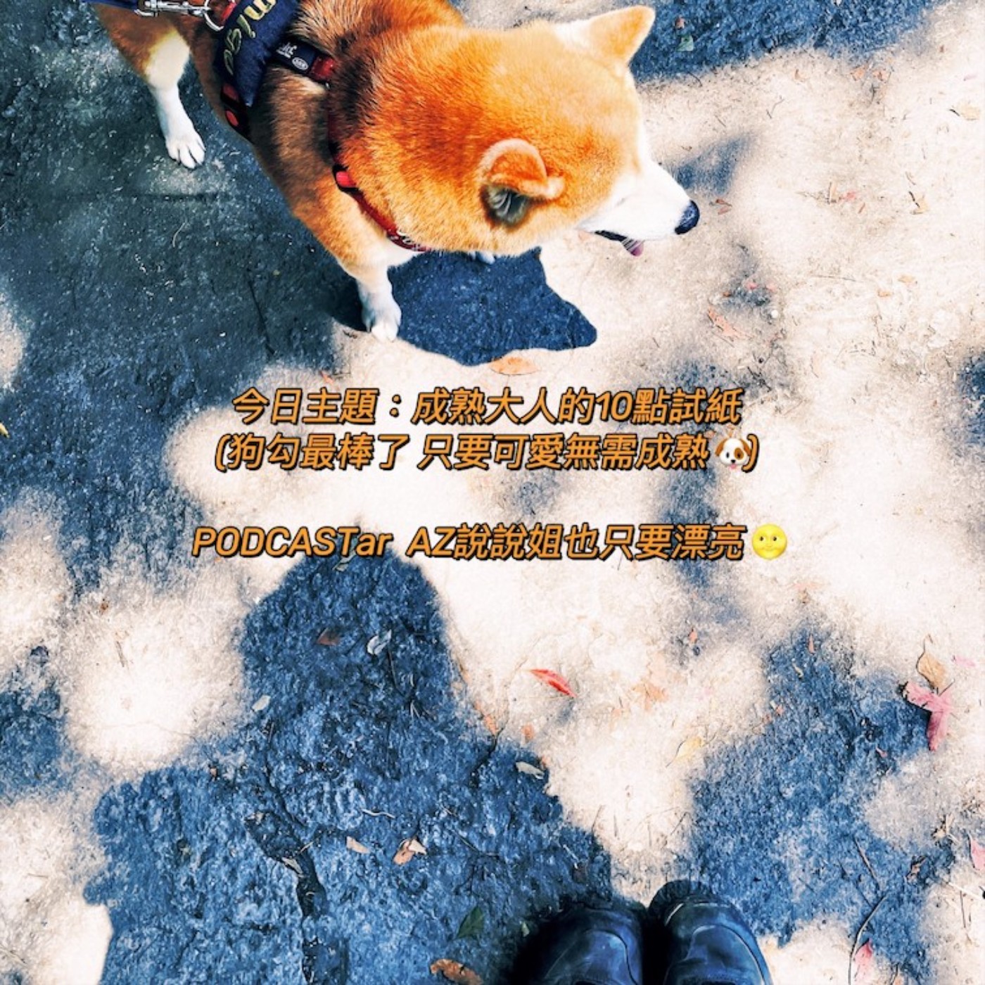 Ep.115 成熟大人的十件事 episode artwork