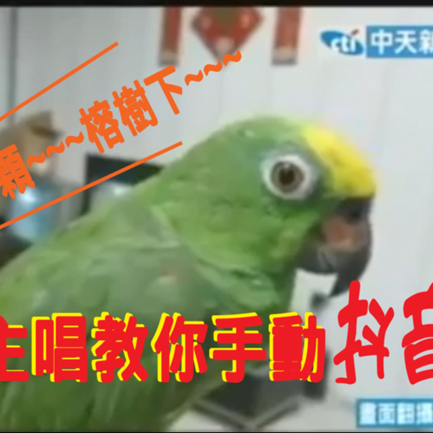 黏tt獨立音樂筆記《第十六集：聲優主唱教你如何手動抖音》