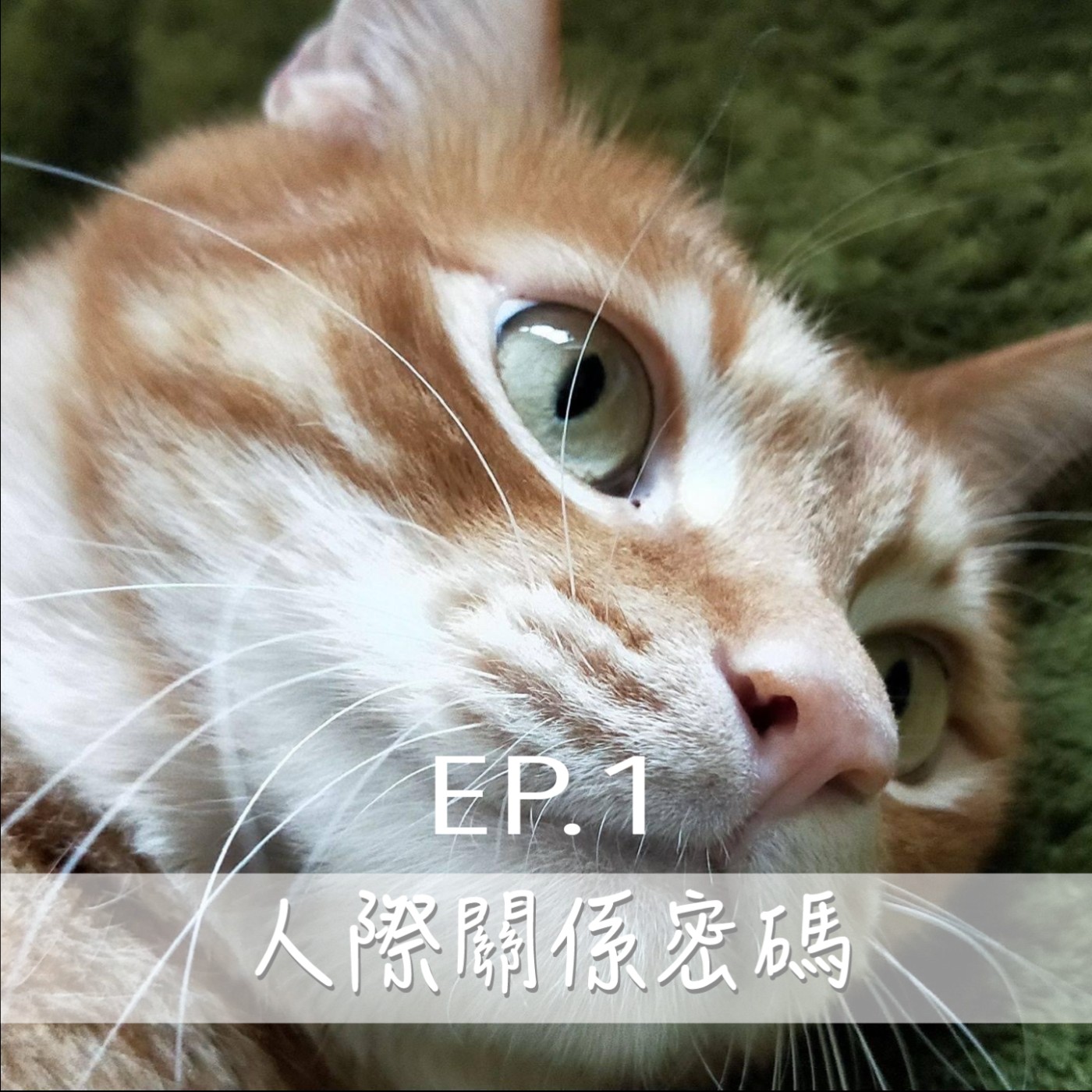 EP1 那個天天來我家玩摔跤的男孩子；我們都曾有過聖母情節？！ episode artwork