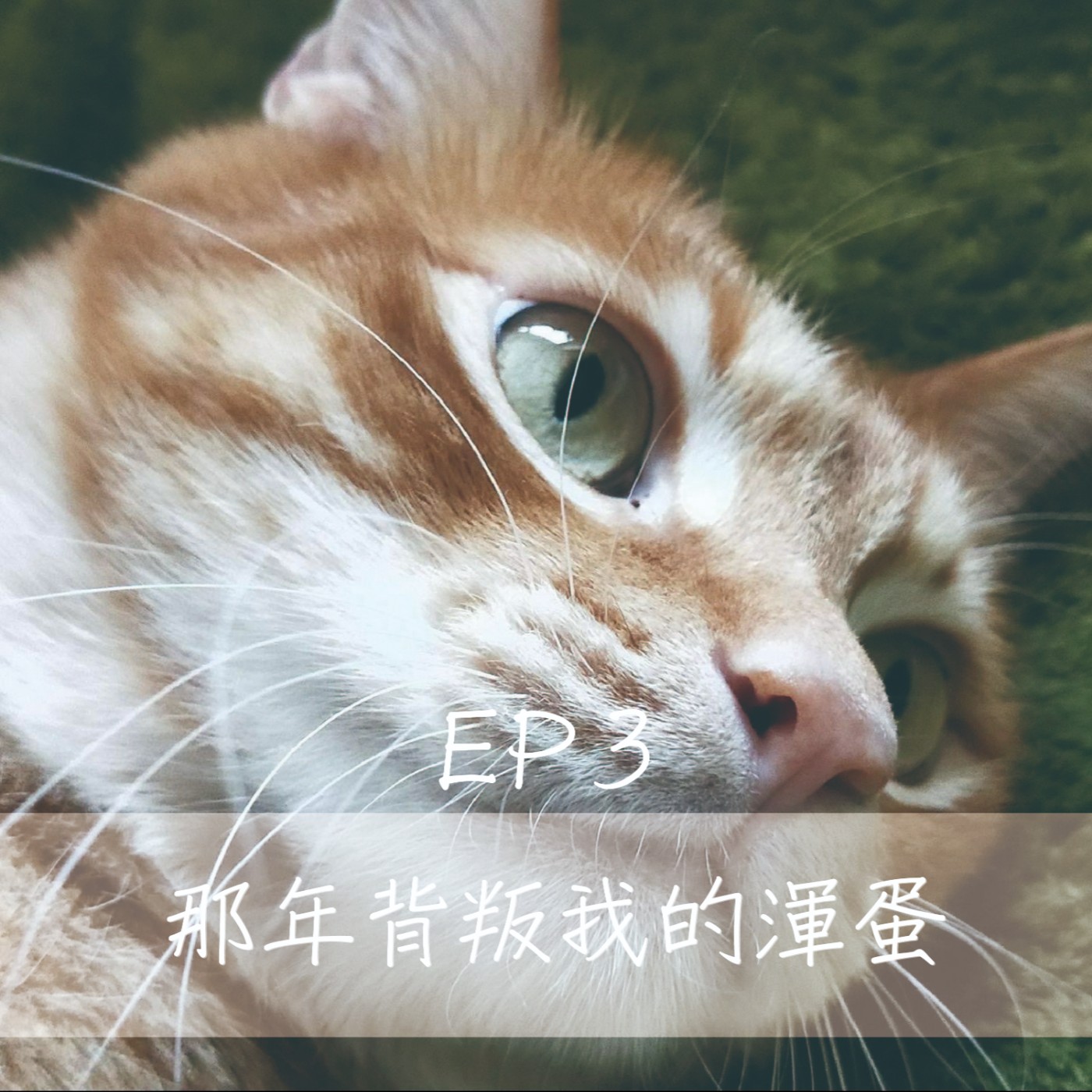 Ep3 愛情讓我們一秒變身背叛者？！草山色影師請自重！ episode artwork