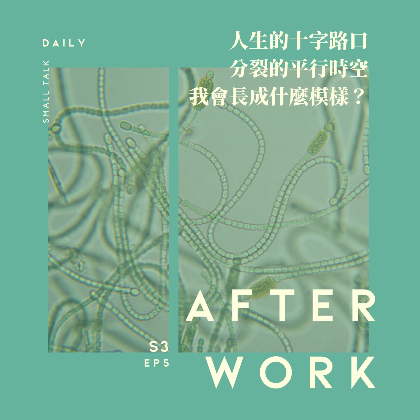 S3 EP5｜人生的十字路口怎麼選？每個選擇分裂出多重平行時空自己！差點成為金鐘男星！？ episode artwork