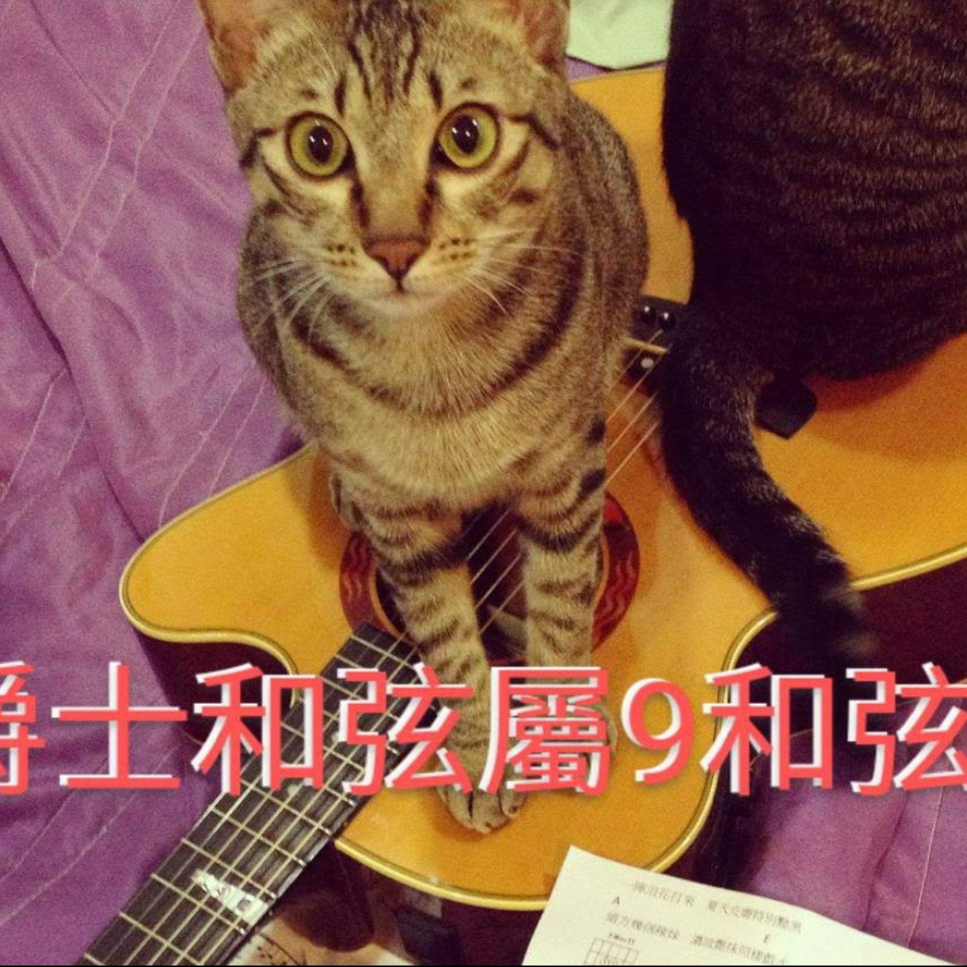 黏tt獨立音樂筆記《第十九集：爵士樂的屬九和弦》