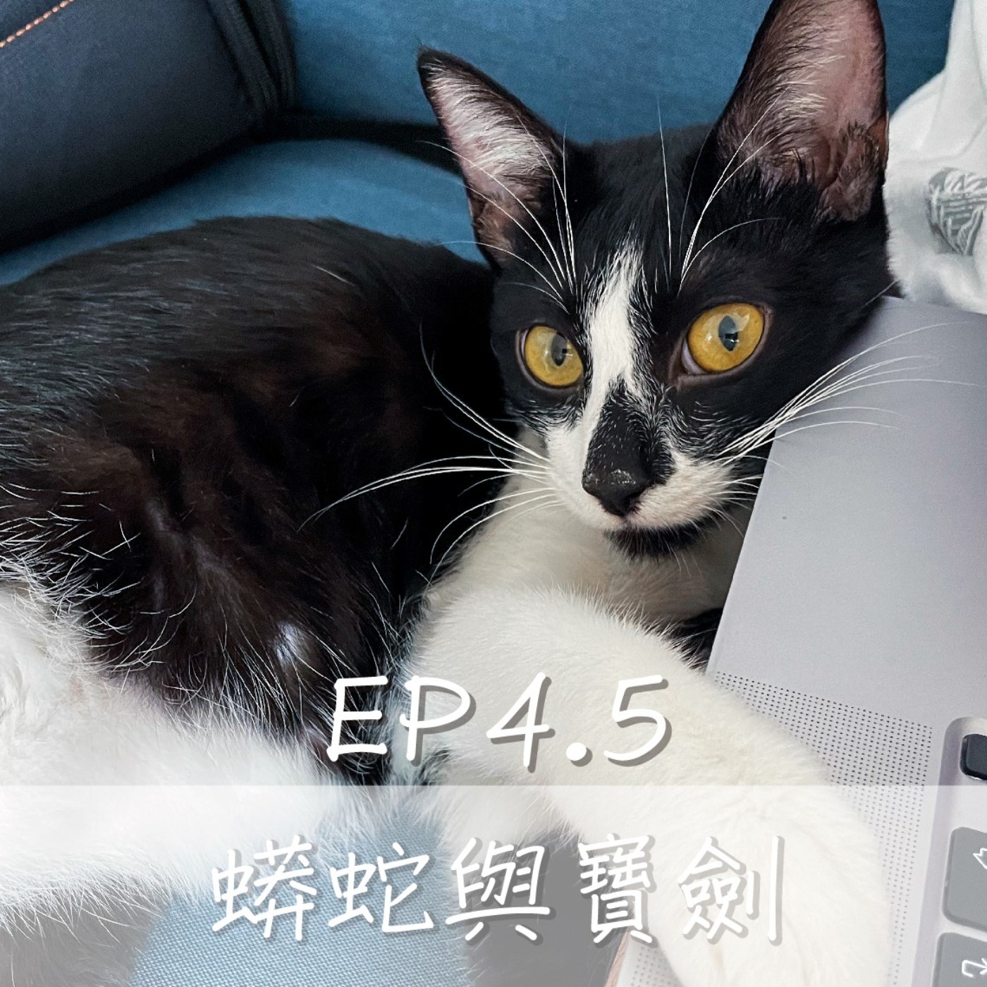 EP4.5 碎碎唸：關禾寶劍Ｘ小怪大蟒蛇 episode artwork