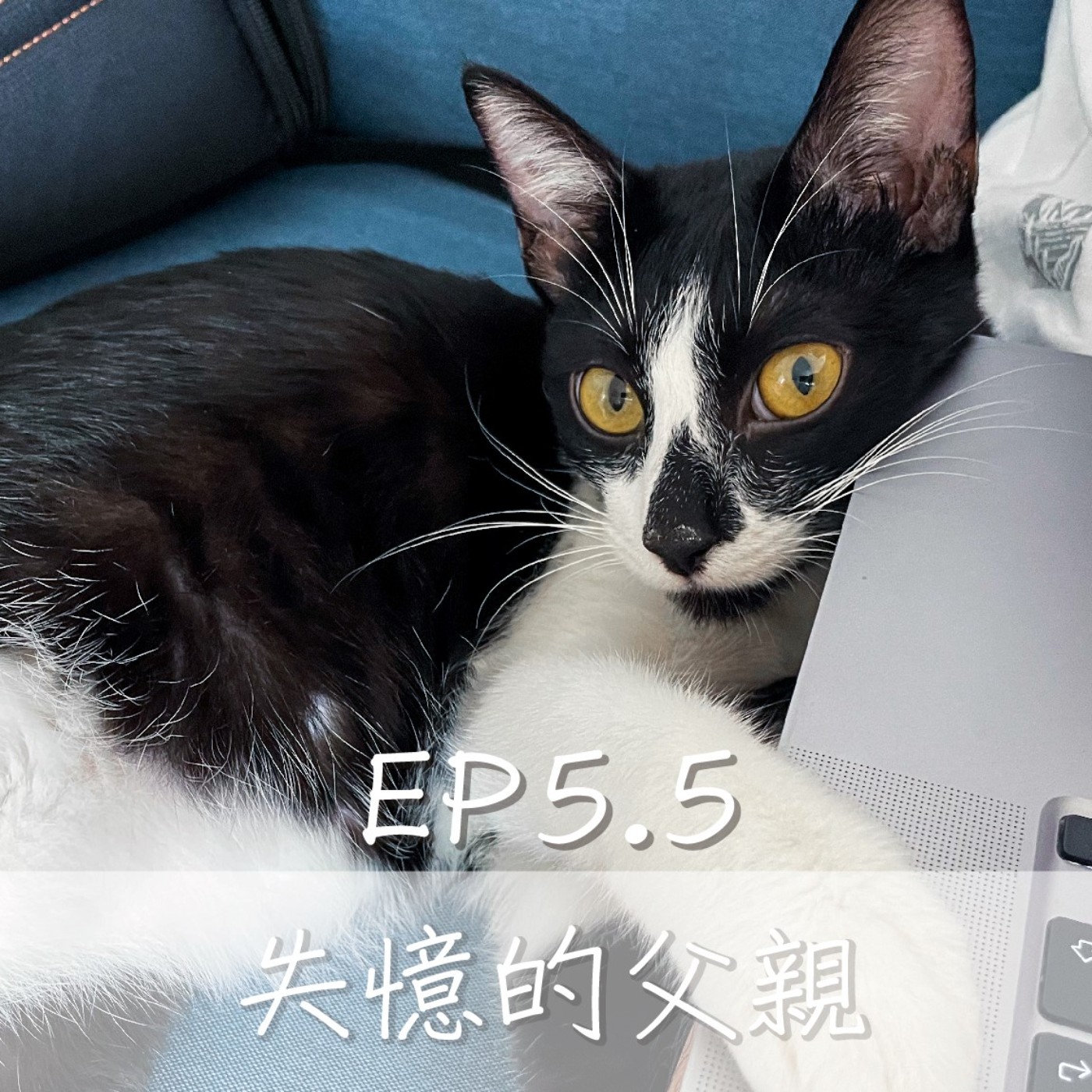 EP5.5 聽眾的真情回饋：讓人落淚的父子親情 episode artwork
