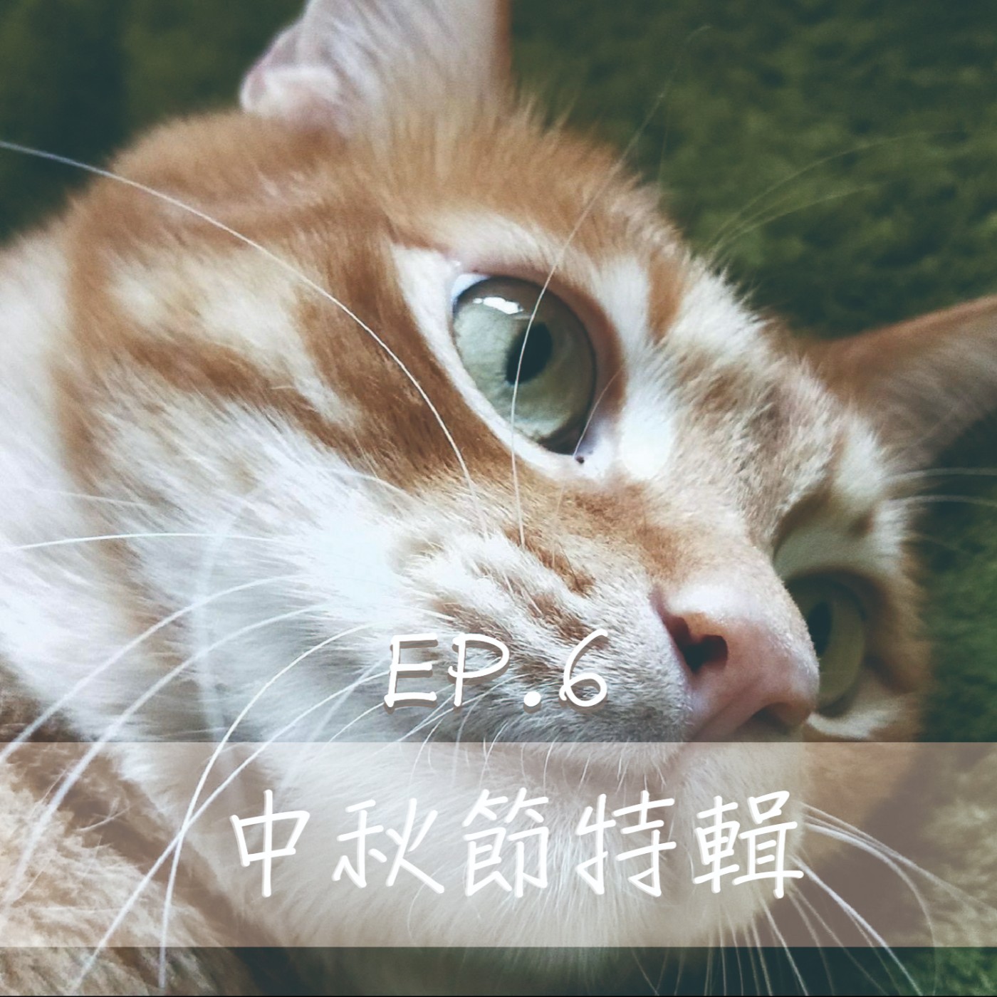 Ep6 嫦娥叛逃的故事有貓膩；小怪與帥教官的粉紅泡泡 episode artwork