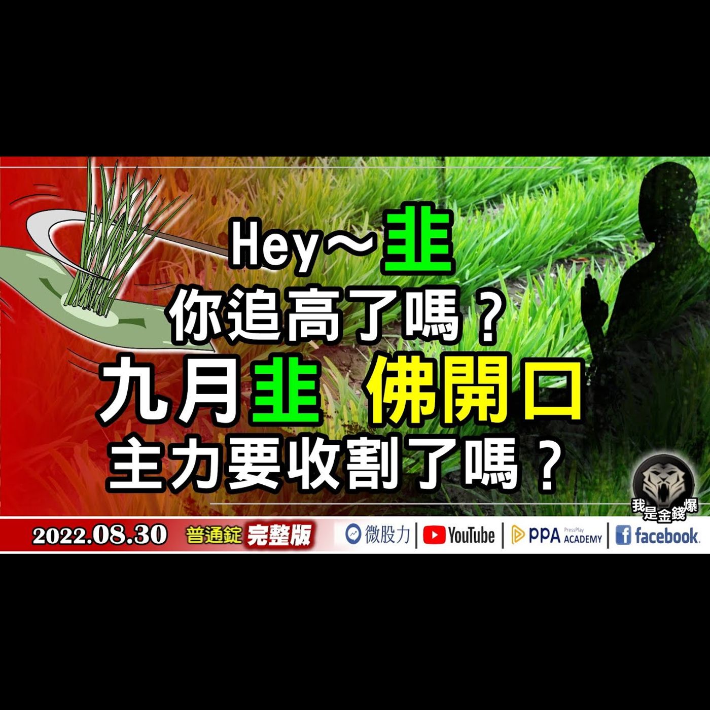 Hey～韭！你追高了嗎？九月韭佛都開口！主力要收割了嗎？《我是金錢爆》普通錠 2022.0830 episode artwork