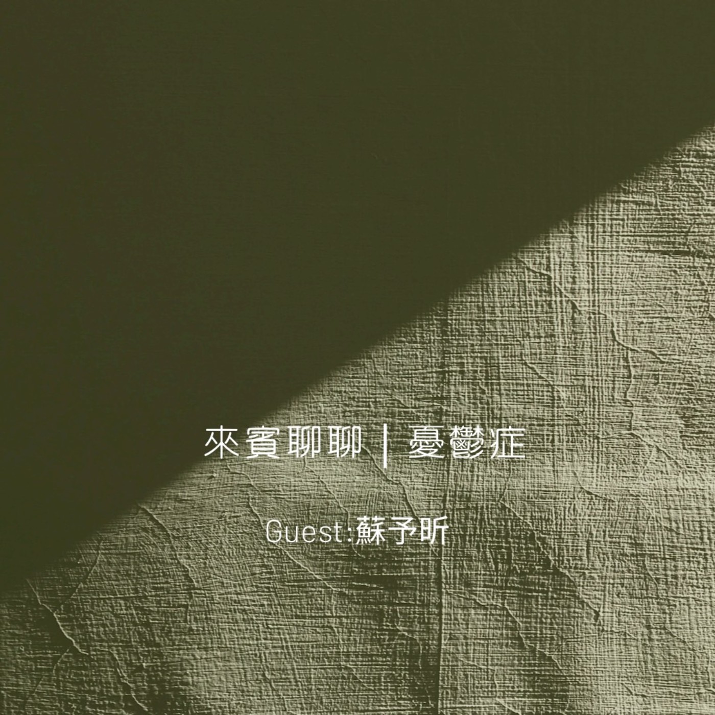 來賓聊聊｜憂鬱症 episode artwork