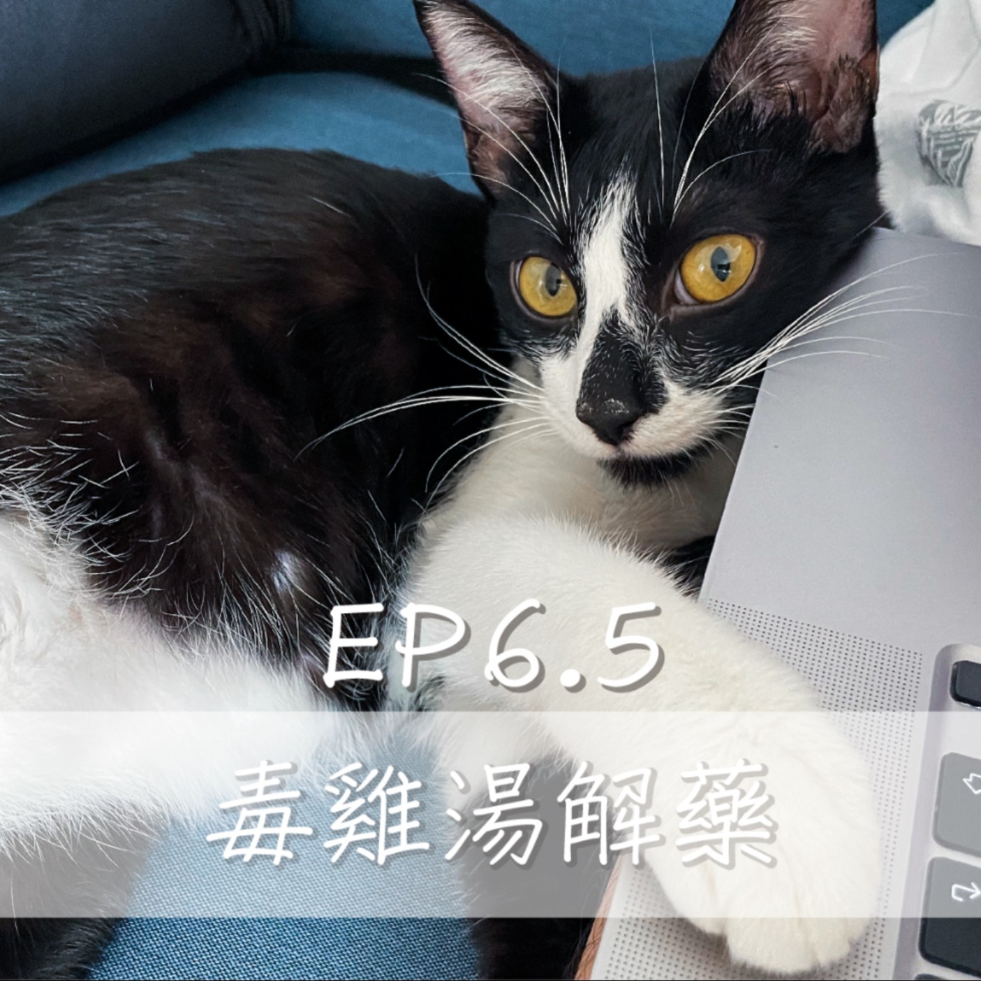 EP6.5 毒雞湯解藥 episode artwork