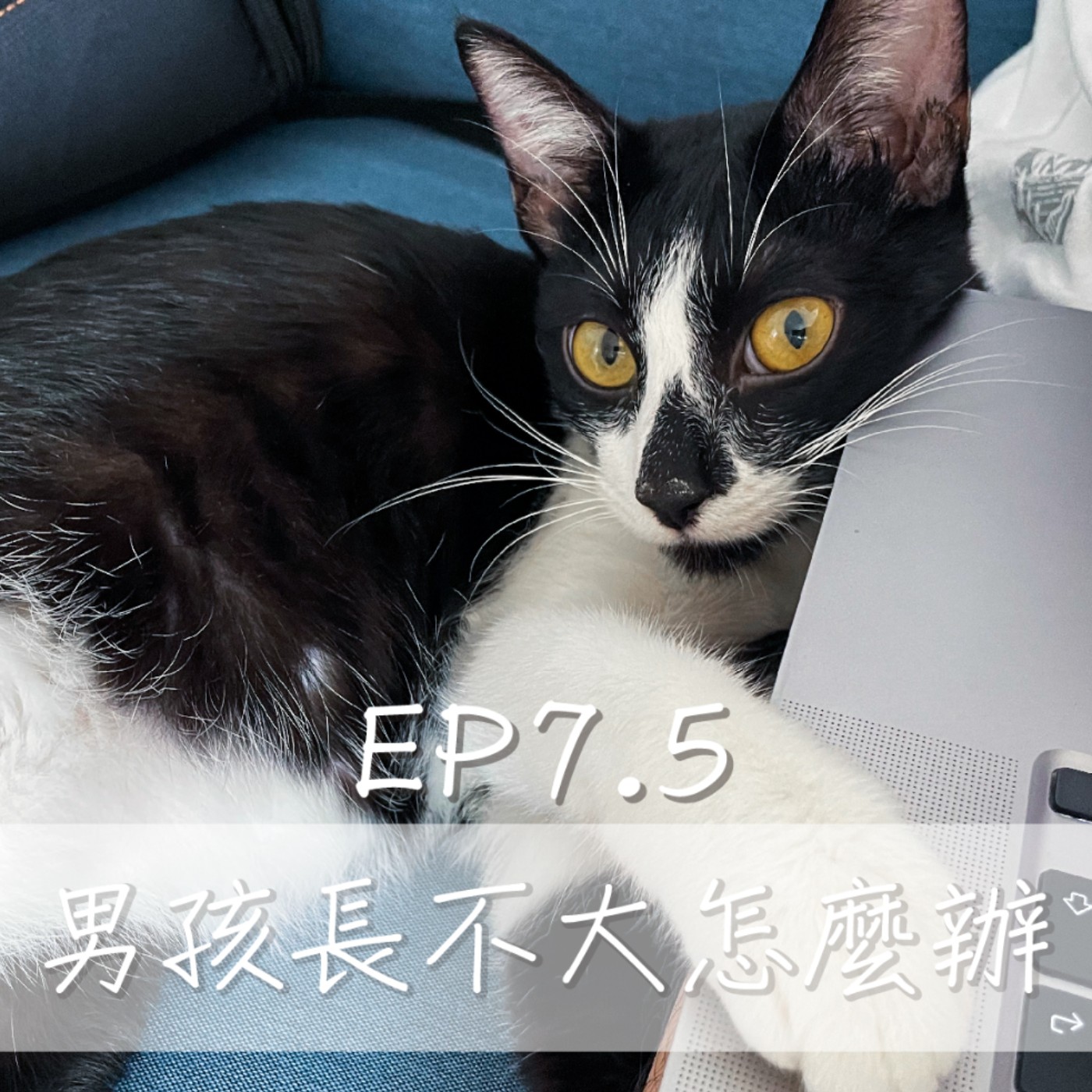 Ep7.5 男孩長不大該怎麼辦？ episode artwork