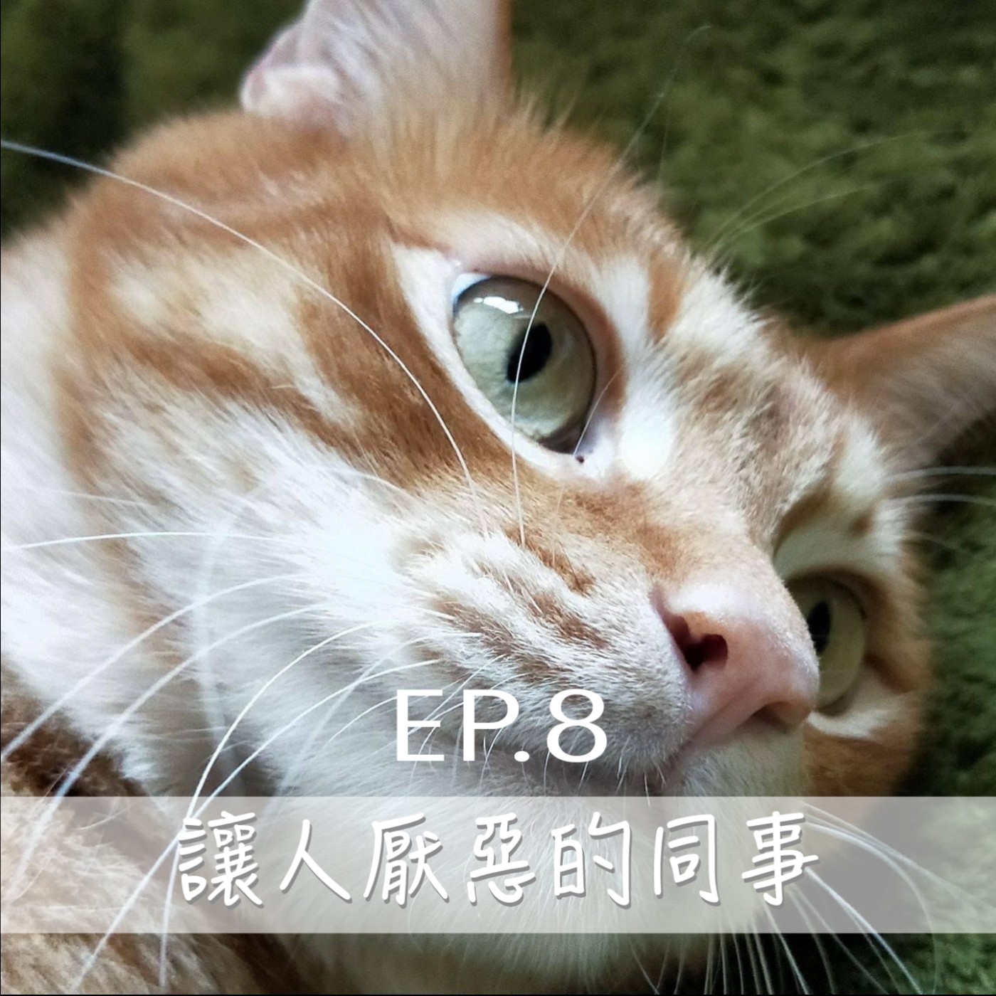 EP8 如果可以討人喜歡誰不要，怎樣才是討喜的形狀？ episode artwork