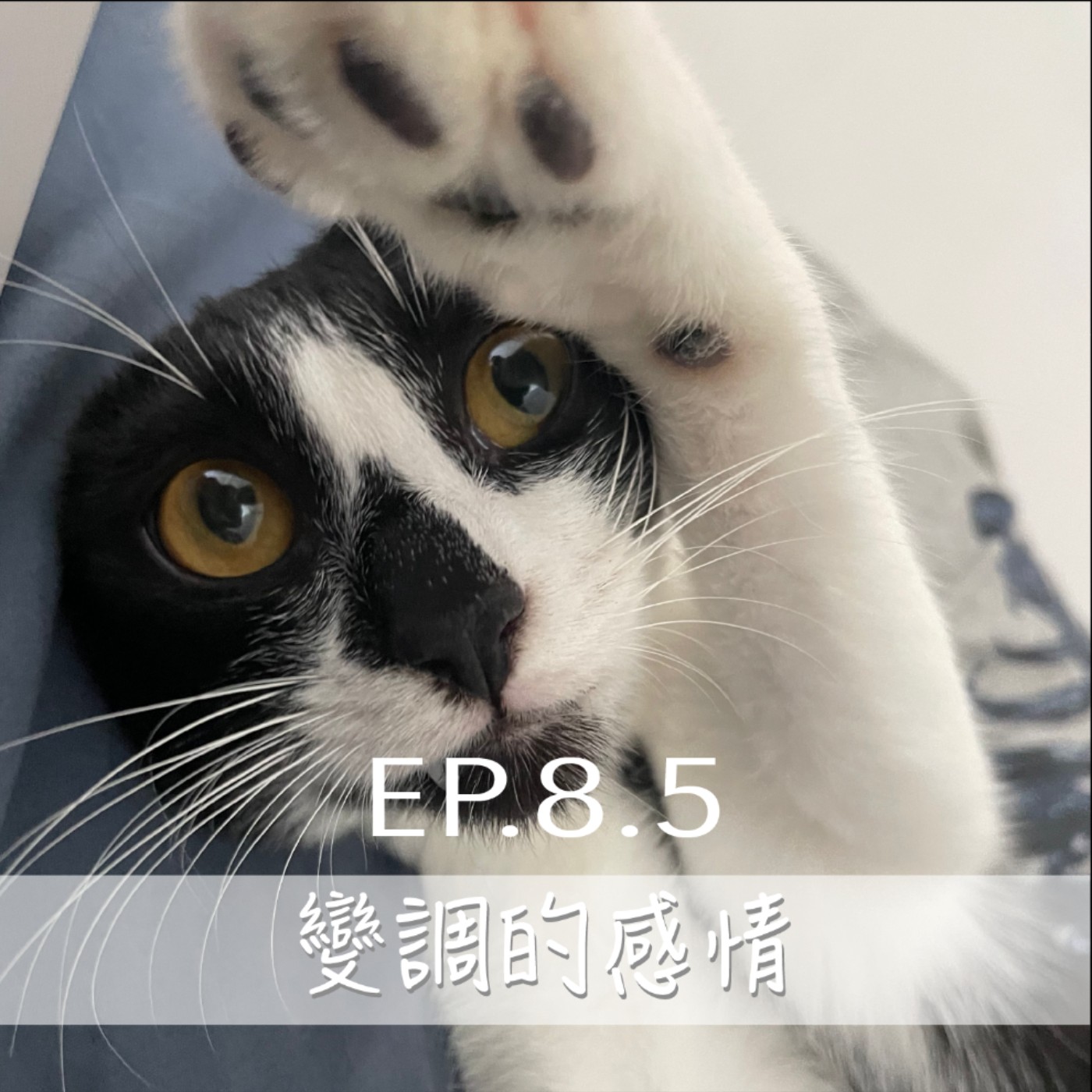 EP8.5 愛情變調了誰才是罪魁禍首？ episode artwork