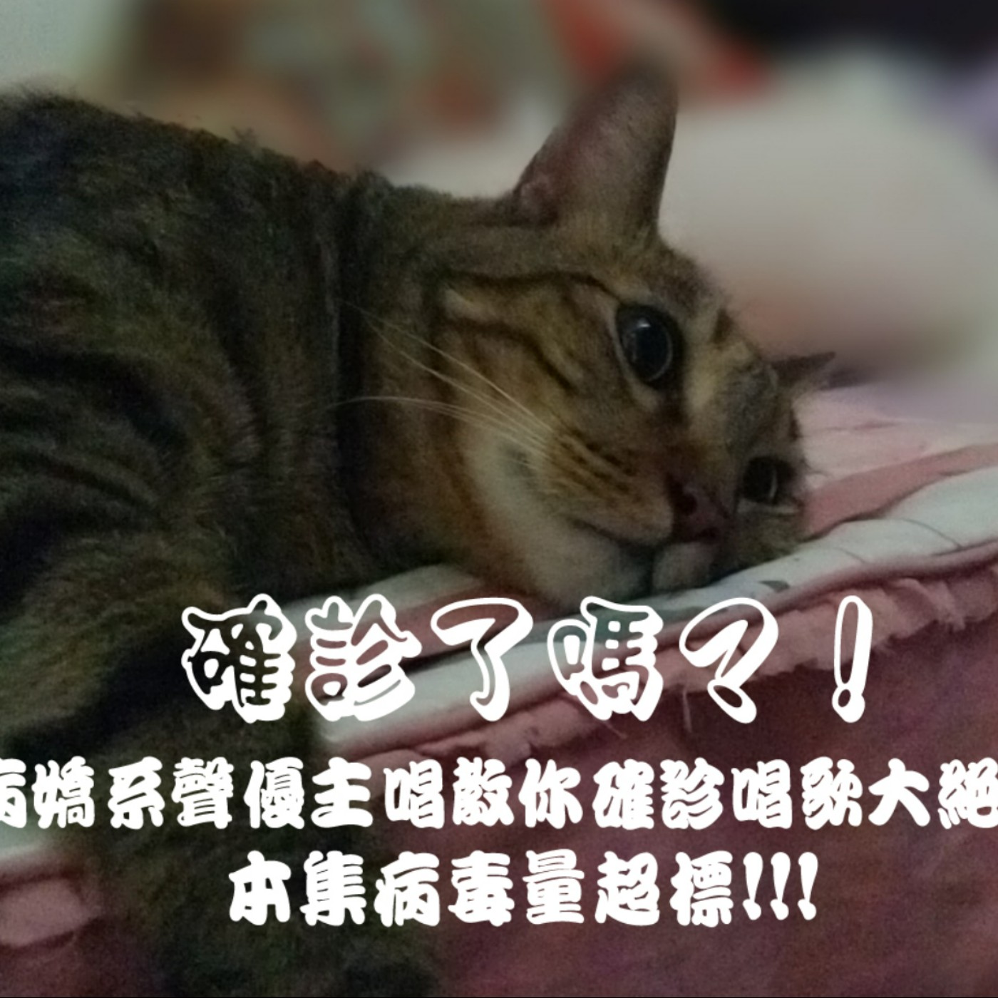  黏tt獨立音樂筆記《第二十二集：病嬌系聲優女主唱教你確診時歌唱大絕》》
