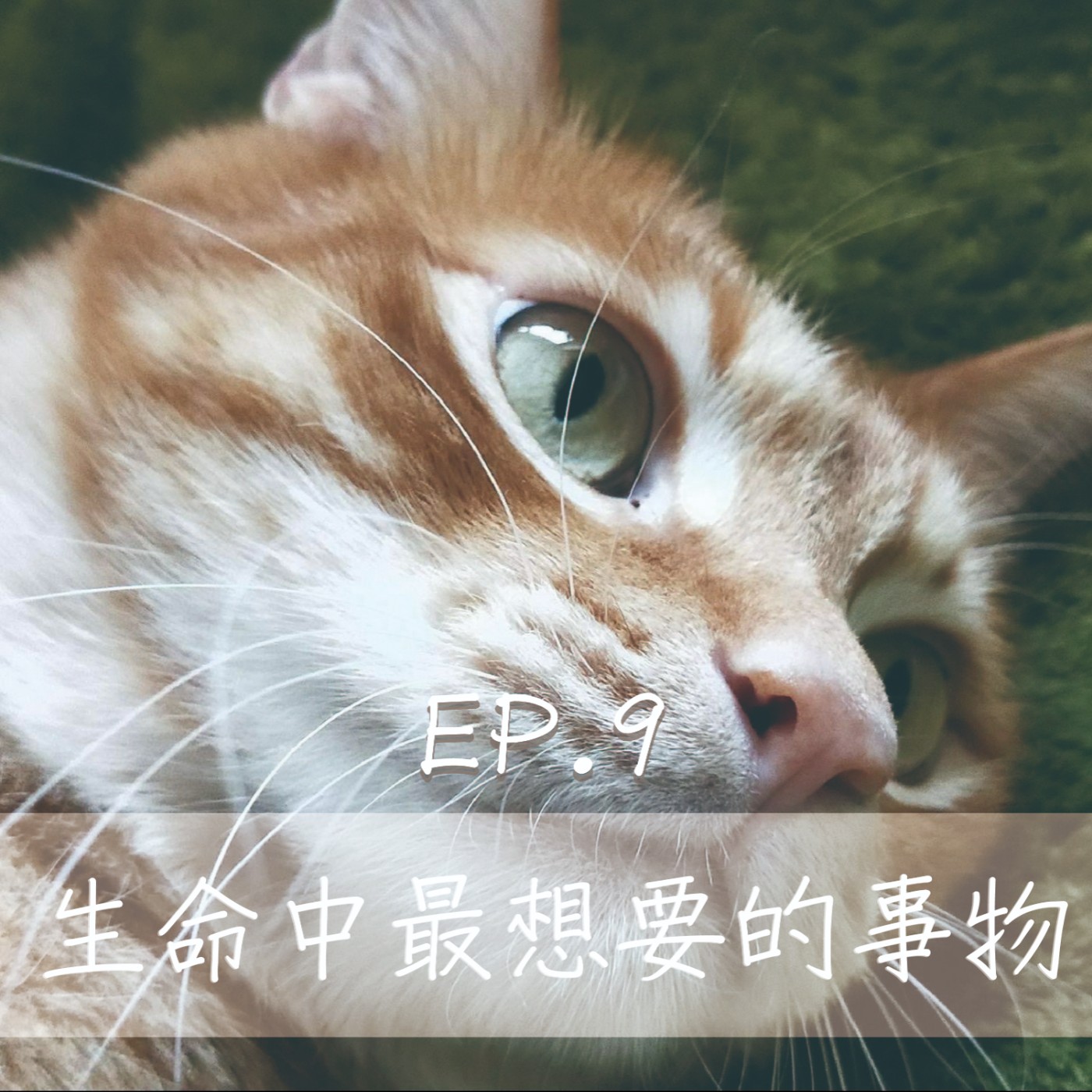 EP9 你想要的其實不是你真的想要的！你要確定你想要捏～ episode artwork