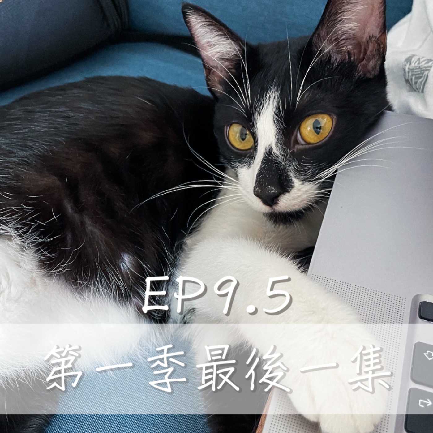 EP9.5 今天是最後一集！ episode artwork