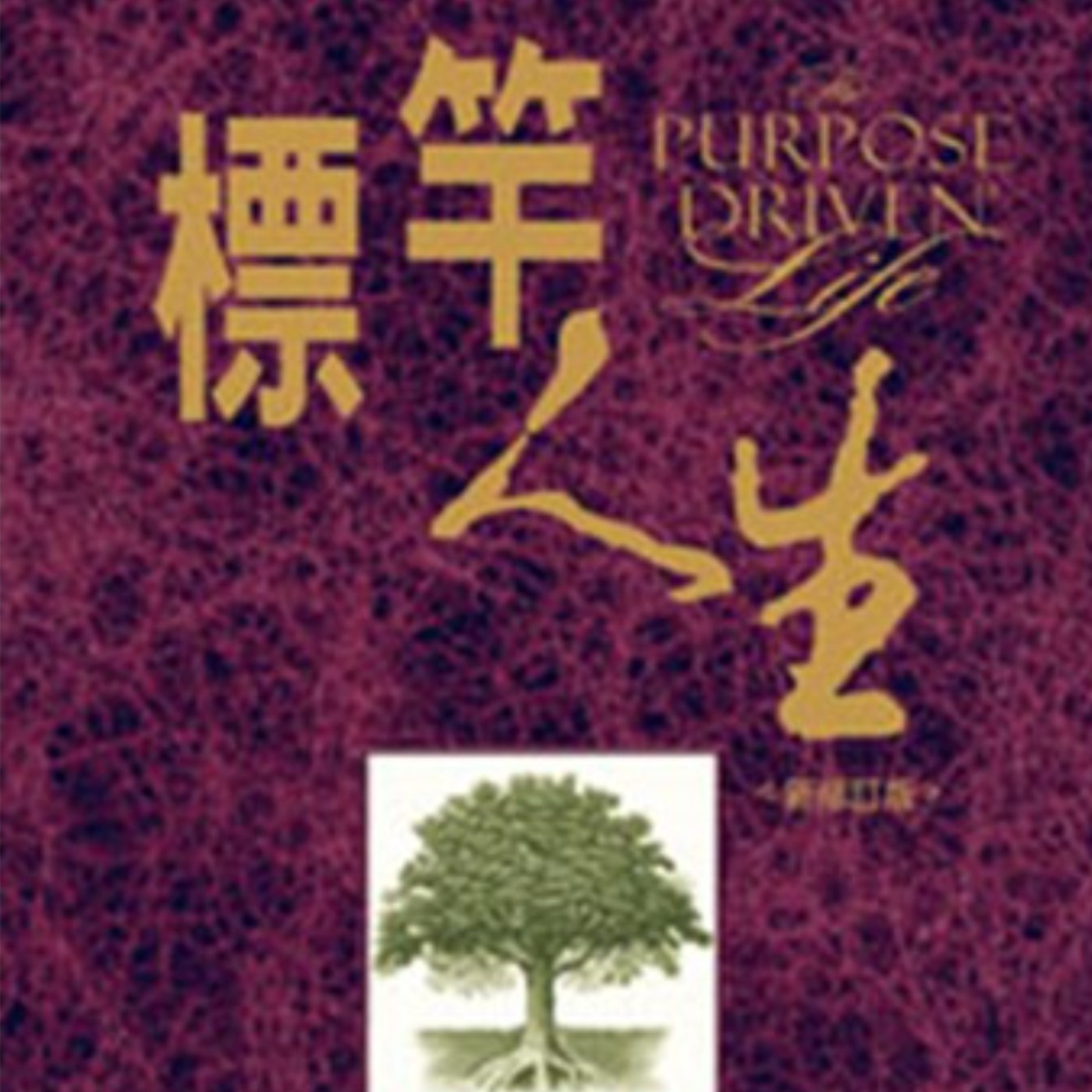 20221004_標竿人生第十四天＿當神似乎遠離 episode artwork