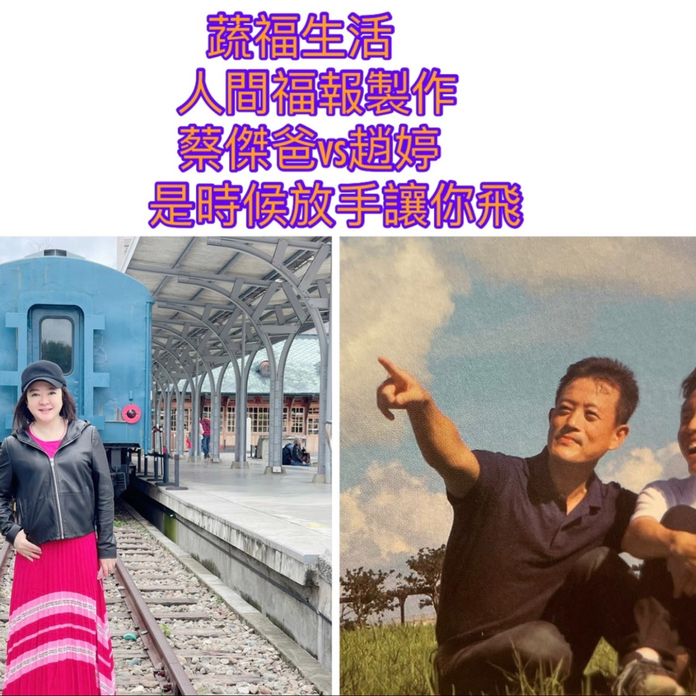 是時候放手讓你飛 episode artwork