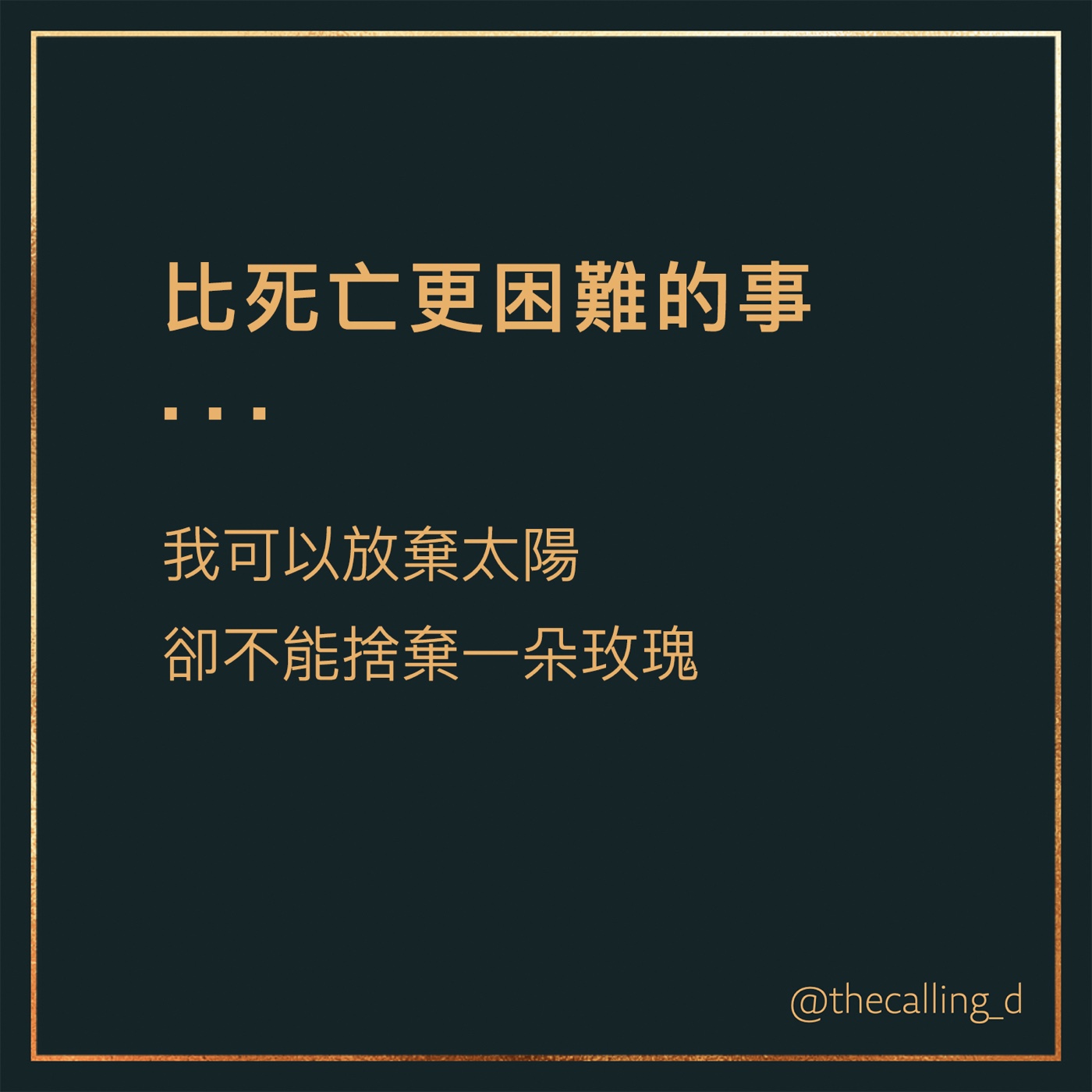 第41通話|我可以放棄太陽,卻不能捨棄一朵玫瑰。