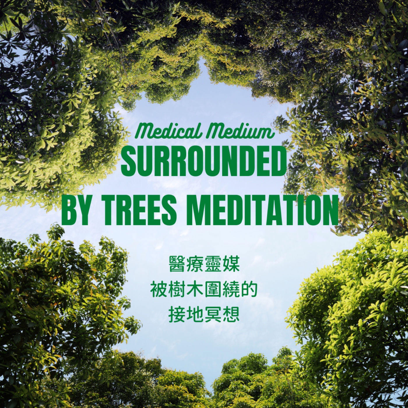 醫療靈媒被樹木圍繞的接地冥想 Medical Medium Surrounded By Trees Meditation   episode artwork