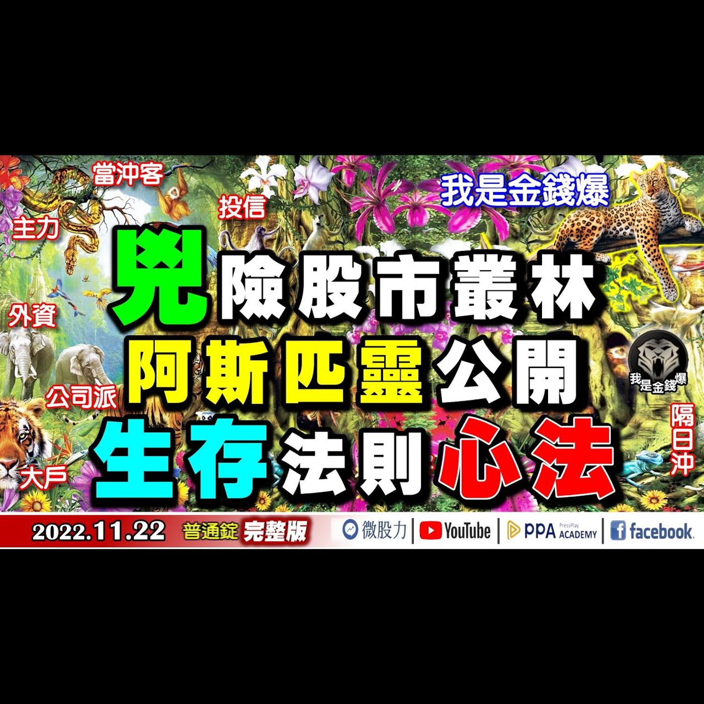 股市叢林充滿兇險廝殺！阿斯匹靈大公開！衝破生存法則心法！《我是金錢爆》普通錠 2022.1122 episode artwork