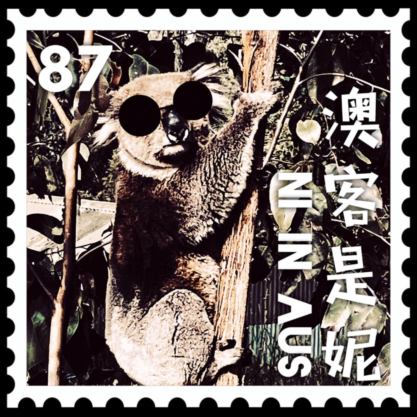 澳客是妮